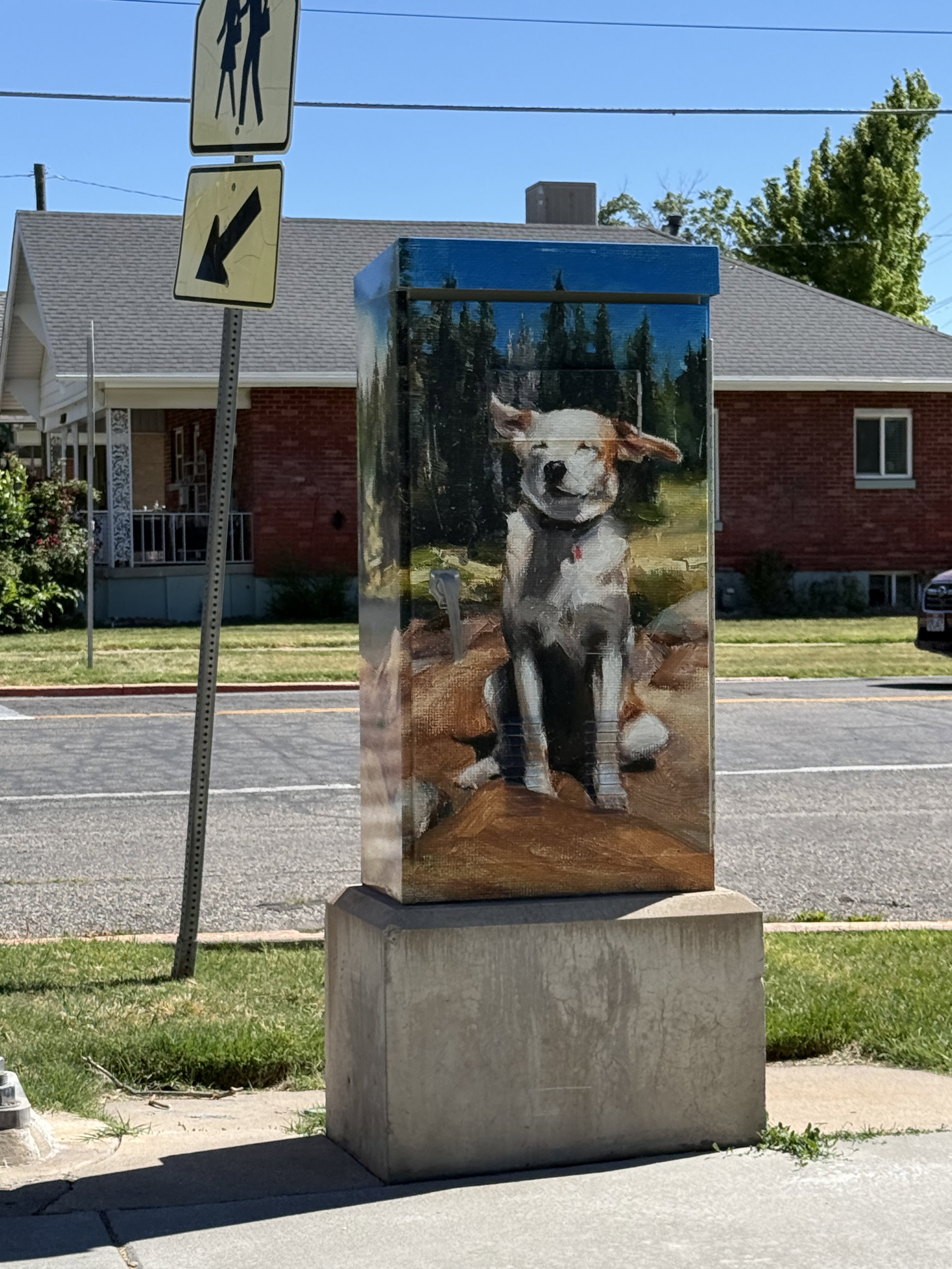 Image quality insufficient for description