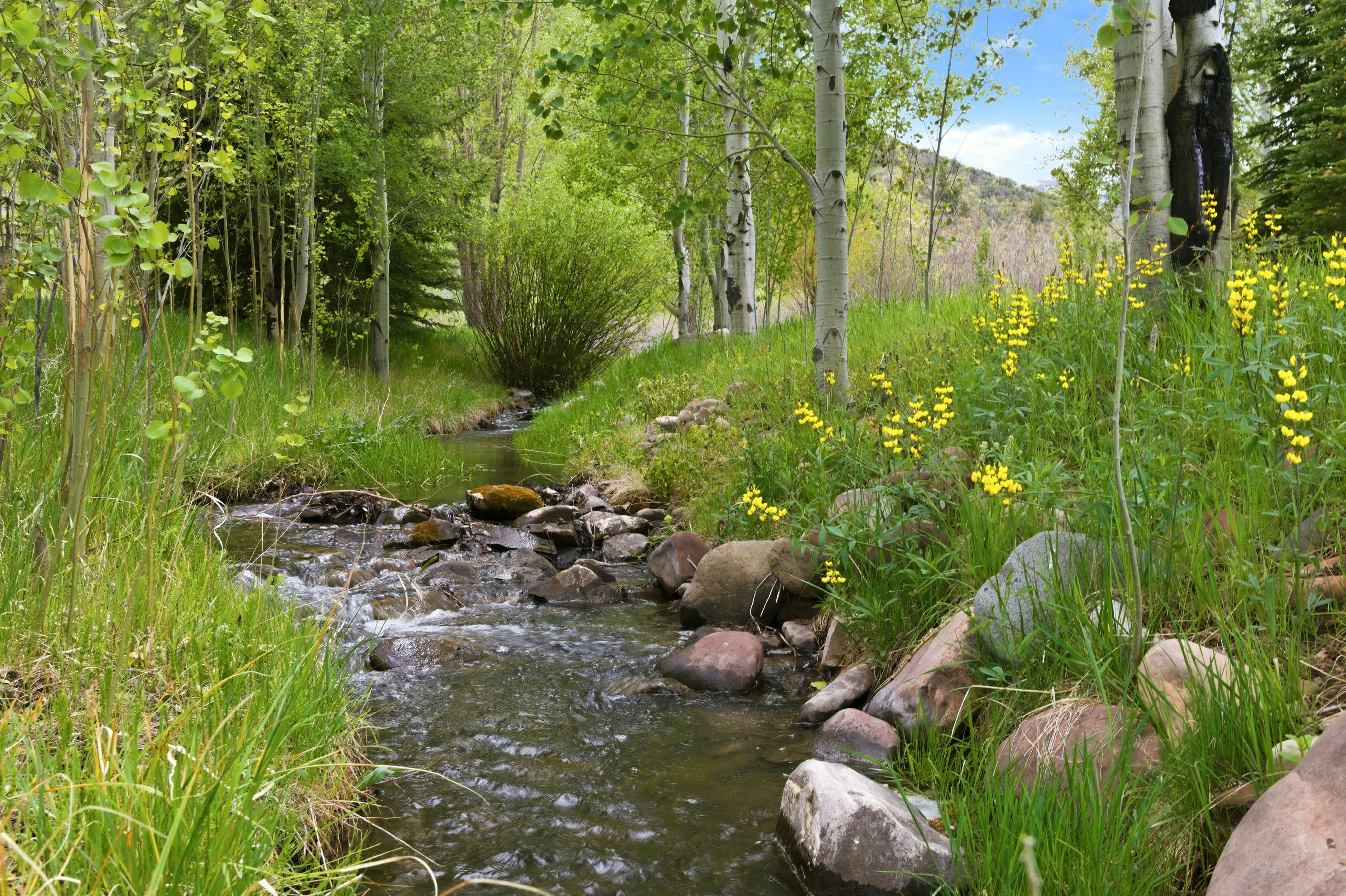 Natural water feature with flowing stream