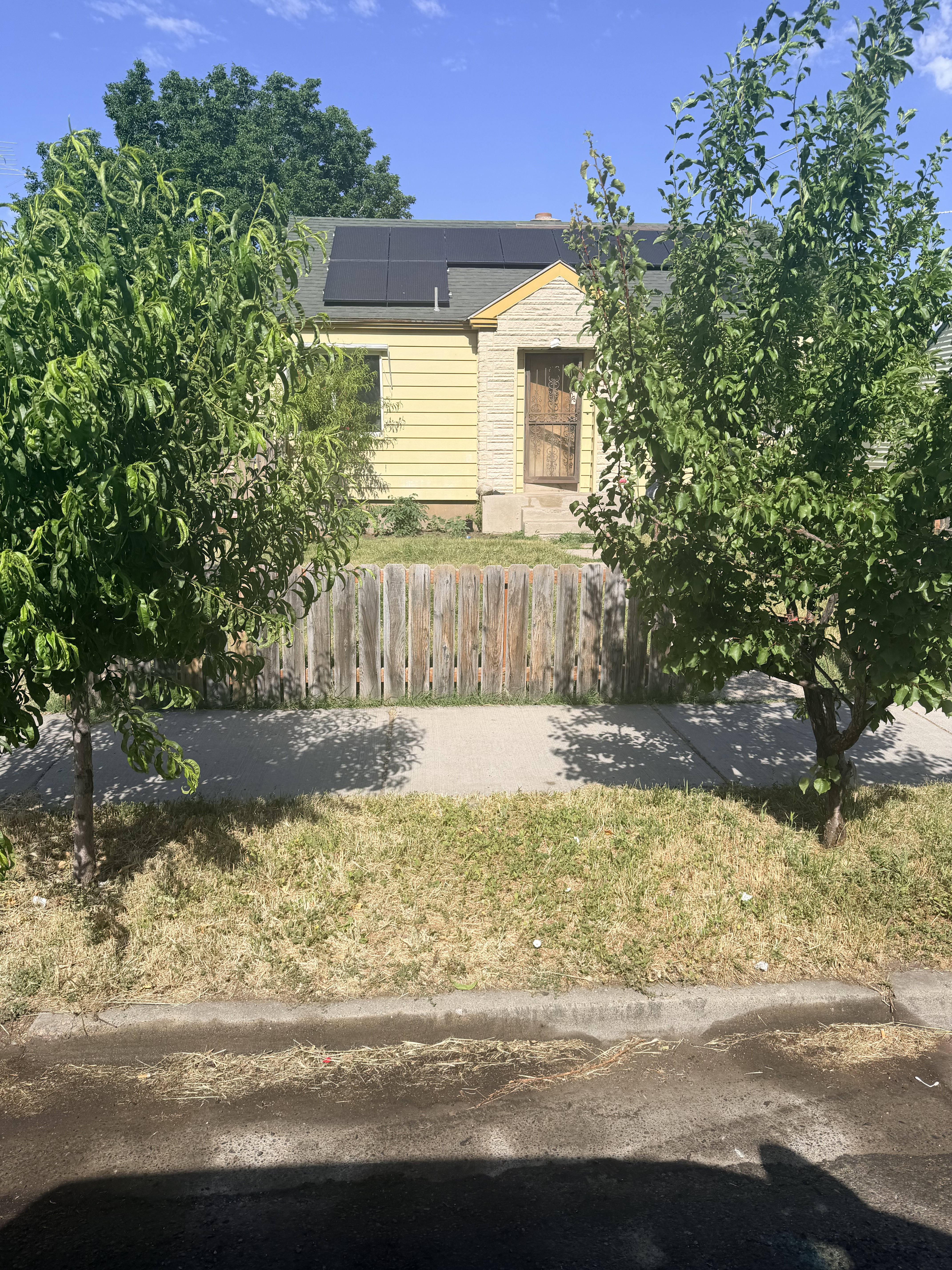 Yellow siding exterior with stone facade accents and a shingle roof featuring solar panels