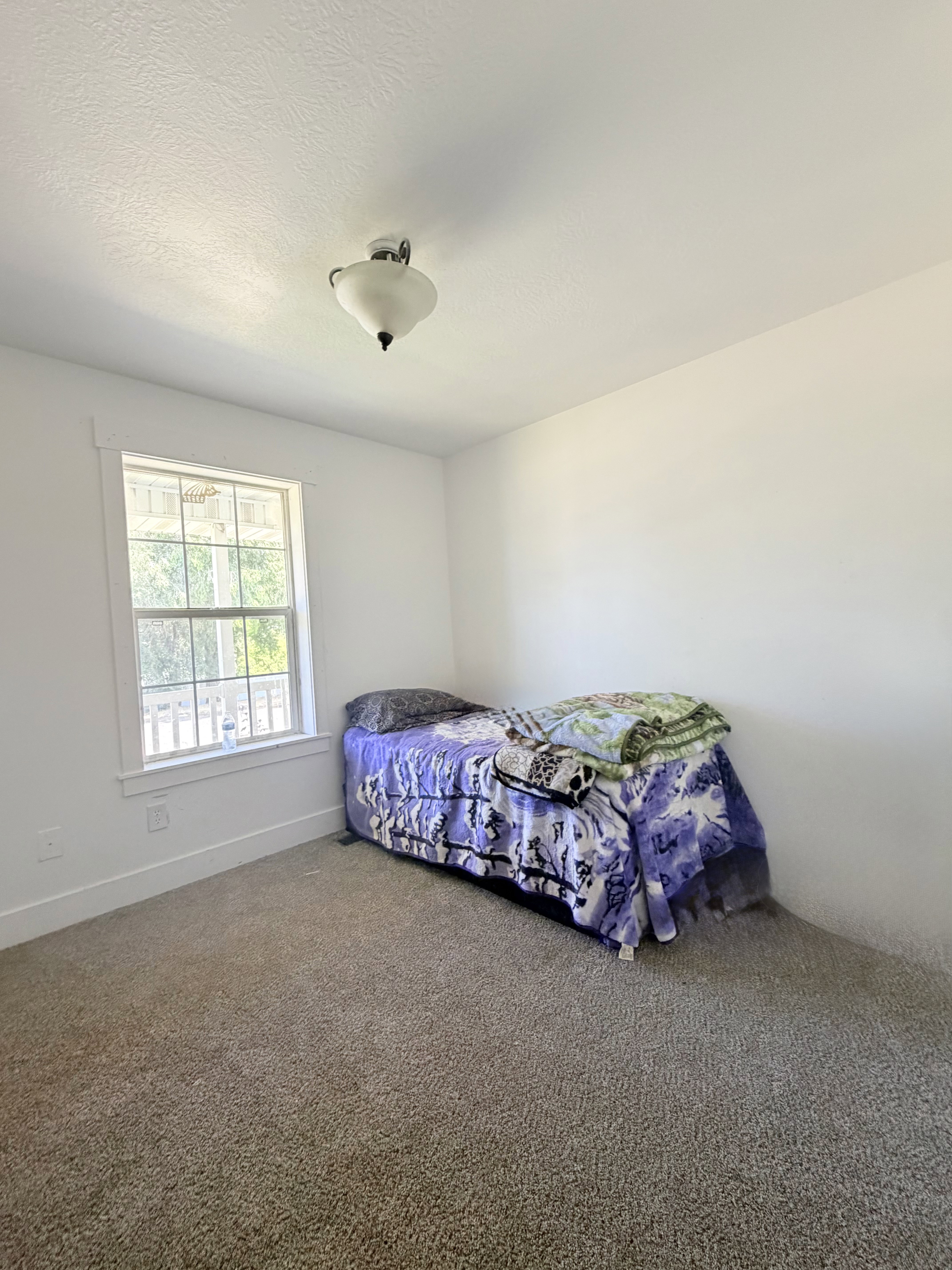 Neutral-toned carpet flooring