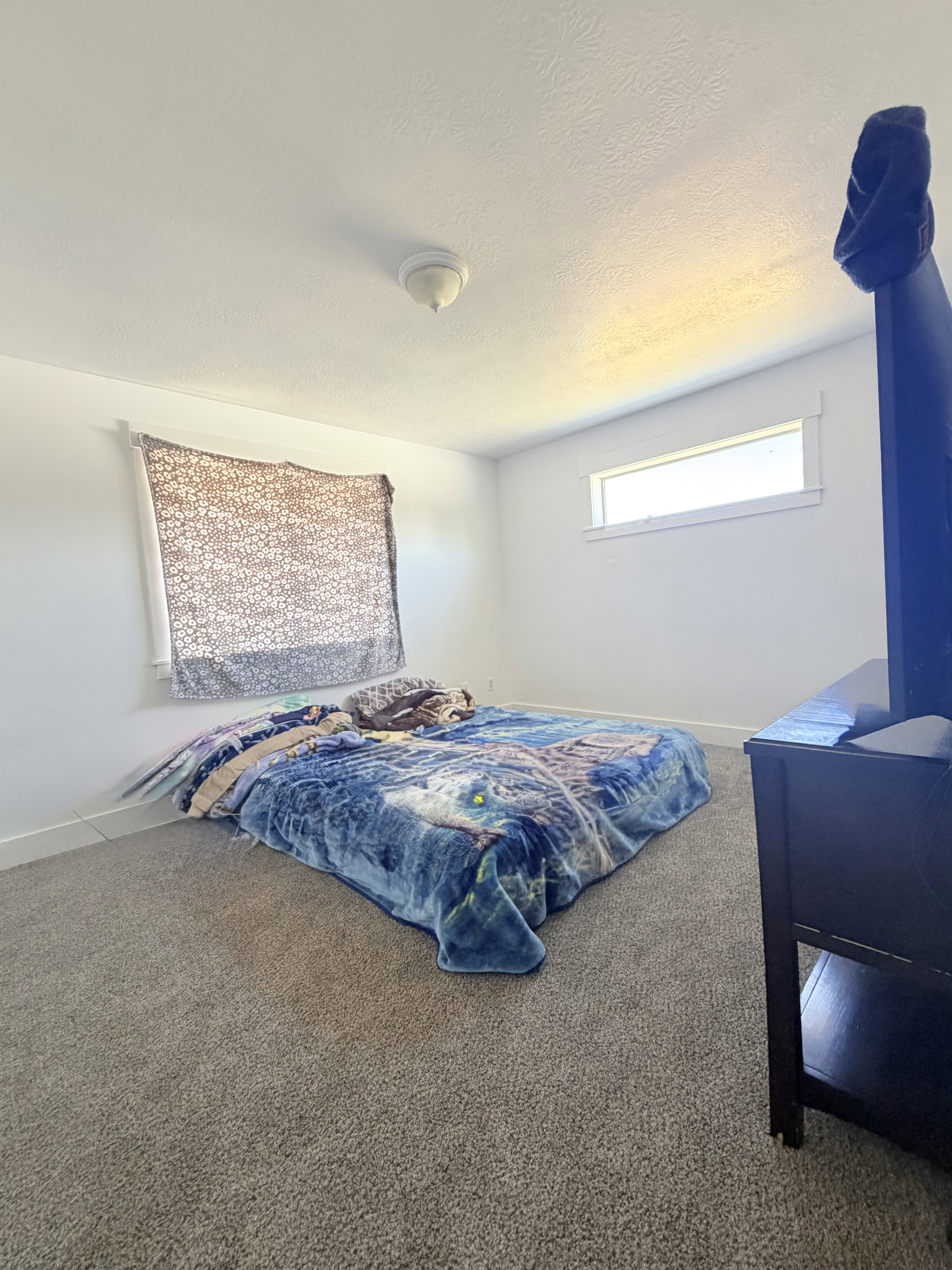 Carpeted room featuring a white ceiling and walls, two windows with white trim, and a ceiling-mounted light fixture