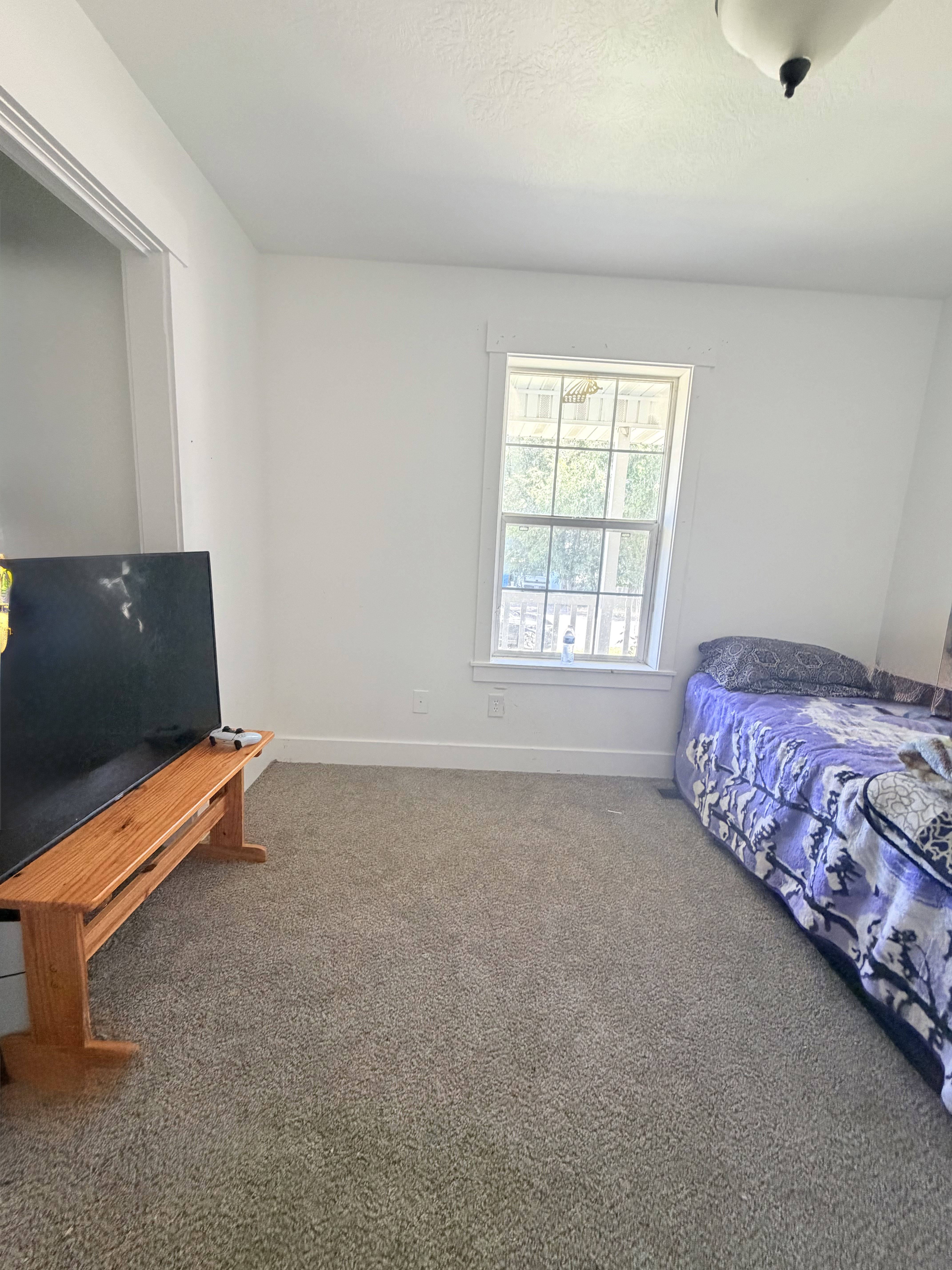 Carpeted room with white walls, baseboards, and window trim