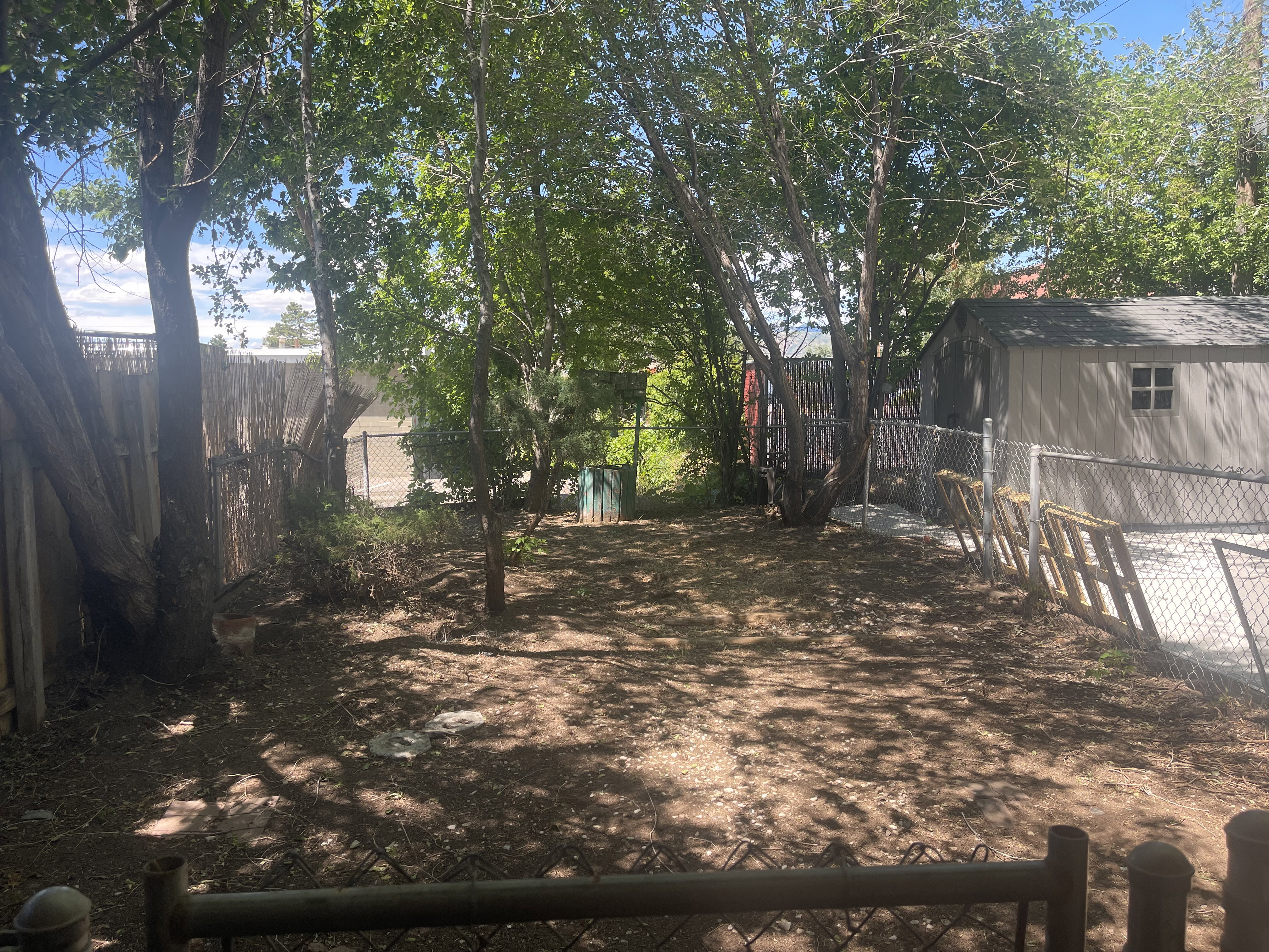 Spacious backyard featuring established trees, chain-link fencing, a wooden privacy fence, and a storage shed with a shingled roof and window