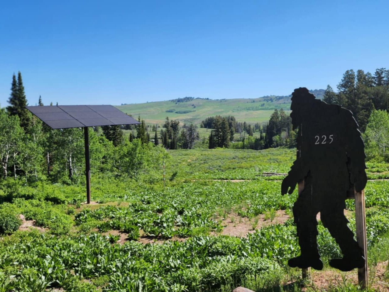 Expansive natural landscape featuring a solar panel array and distant rolling hills