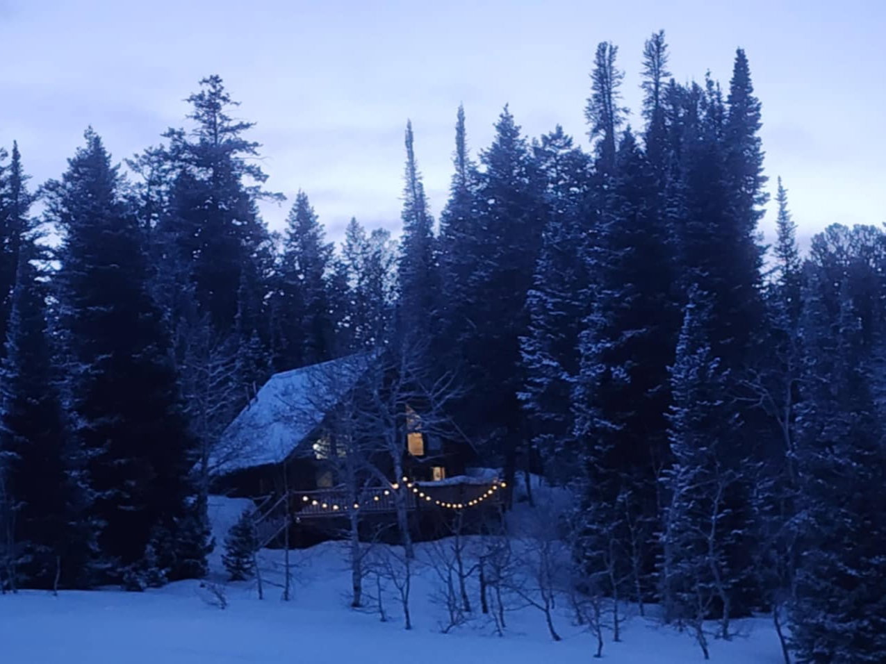 Rustic A-frame cabin nestled amongst dense evergreen trees, featuring a snow-covered roof, exterior lighting, and a prominent front-facing window
