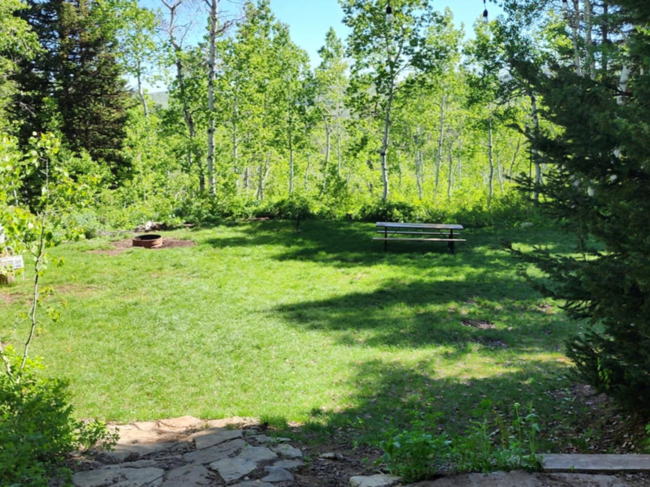 Expansive outdoor space featuring a lush green lawn, mature trees, and a picnic table