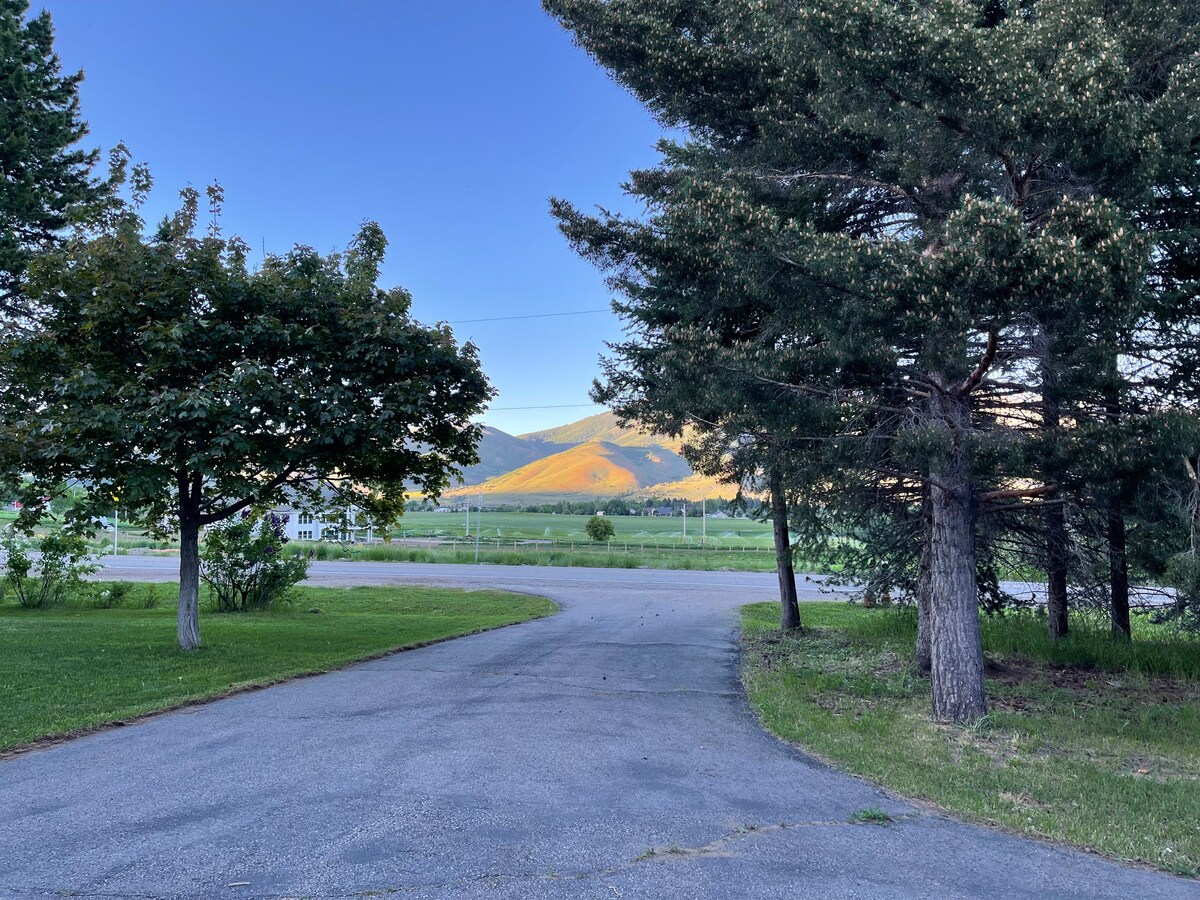 Paved driveway bordered by mature trees and grass, with distant mountains and open fields