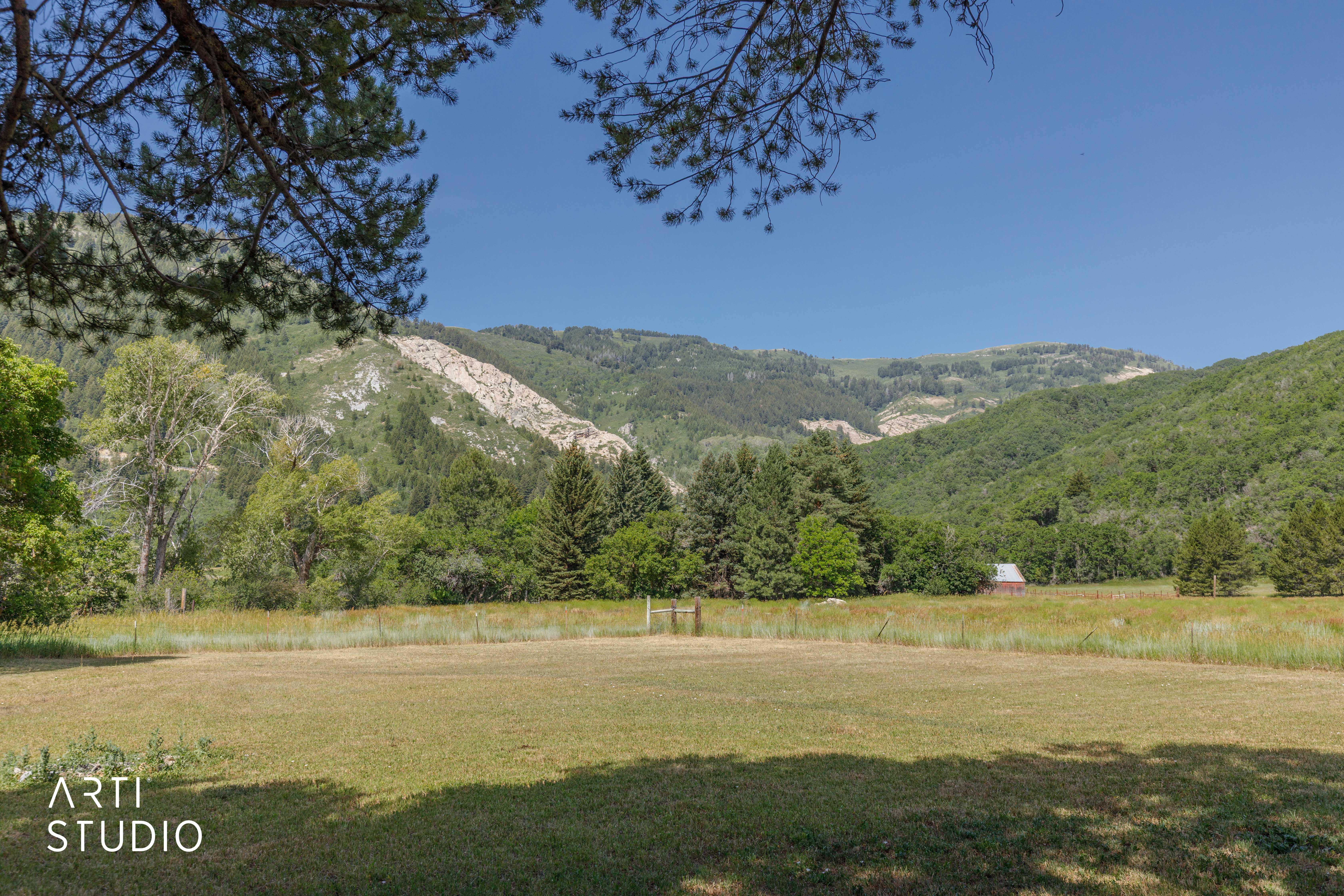 Expansive grassy field with distant forested mountains and a clear blue sky