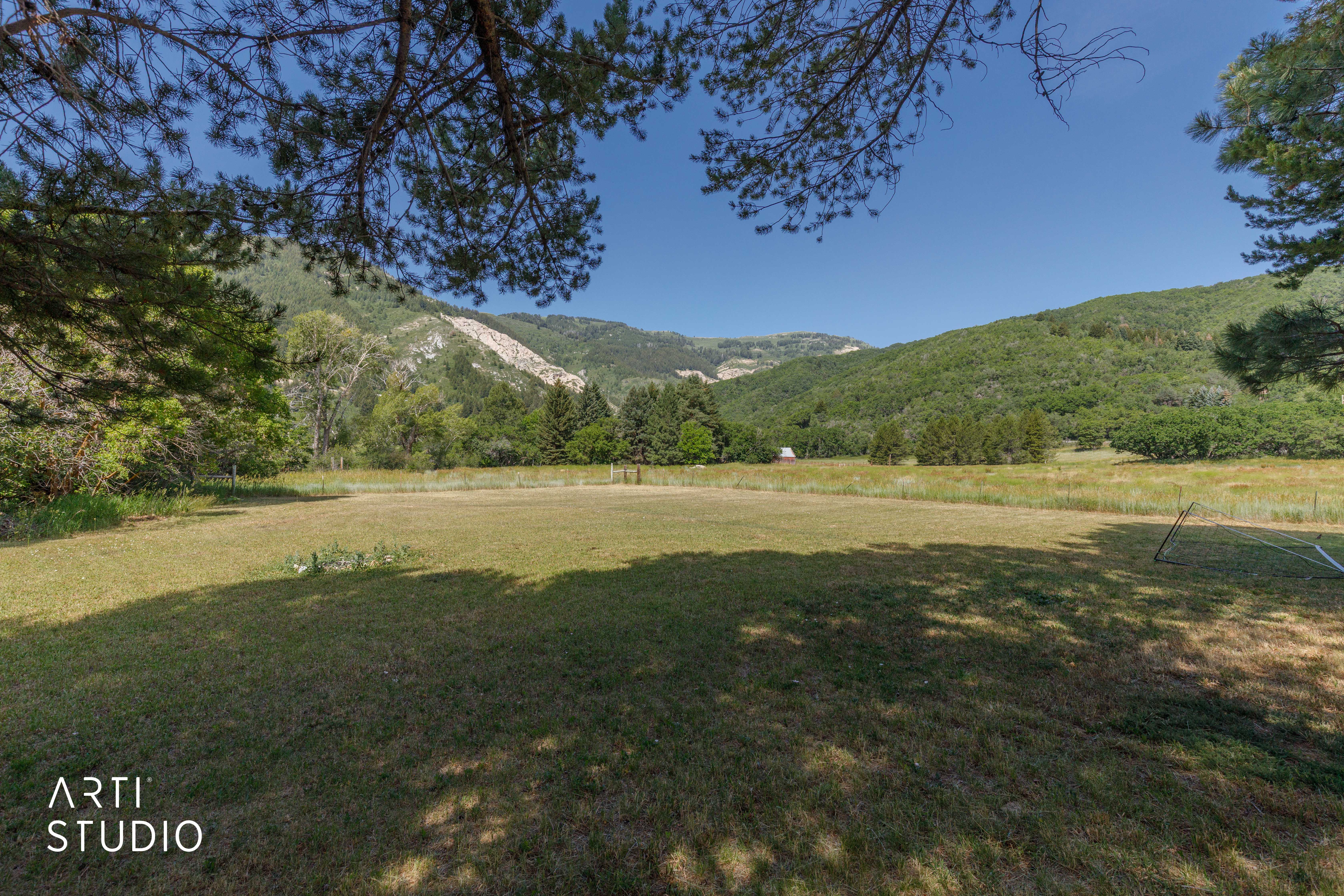 Expansive grassy area with distant mountains and abundant trees