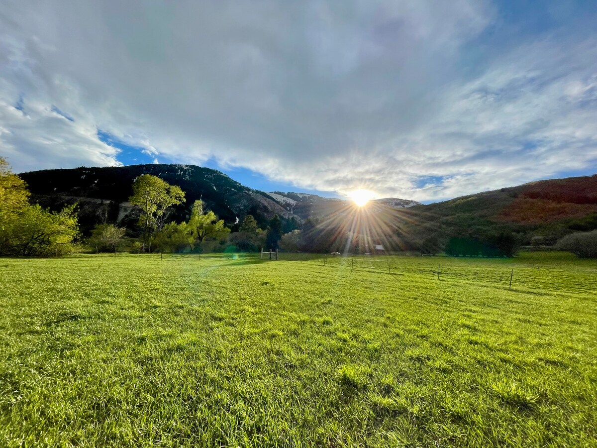 Expansive green field surrounded by mature trees and distant mountains, featuring a bright sky with scattered clouds