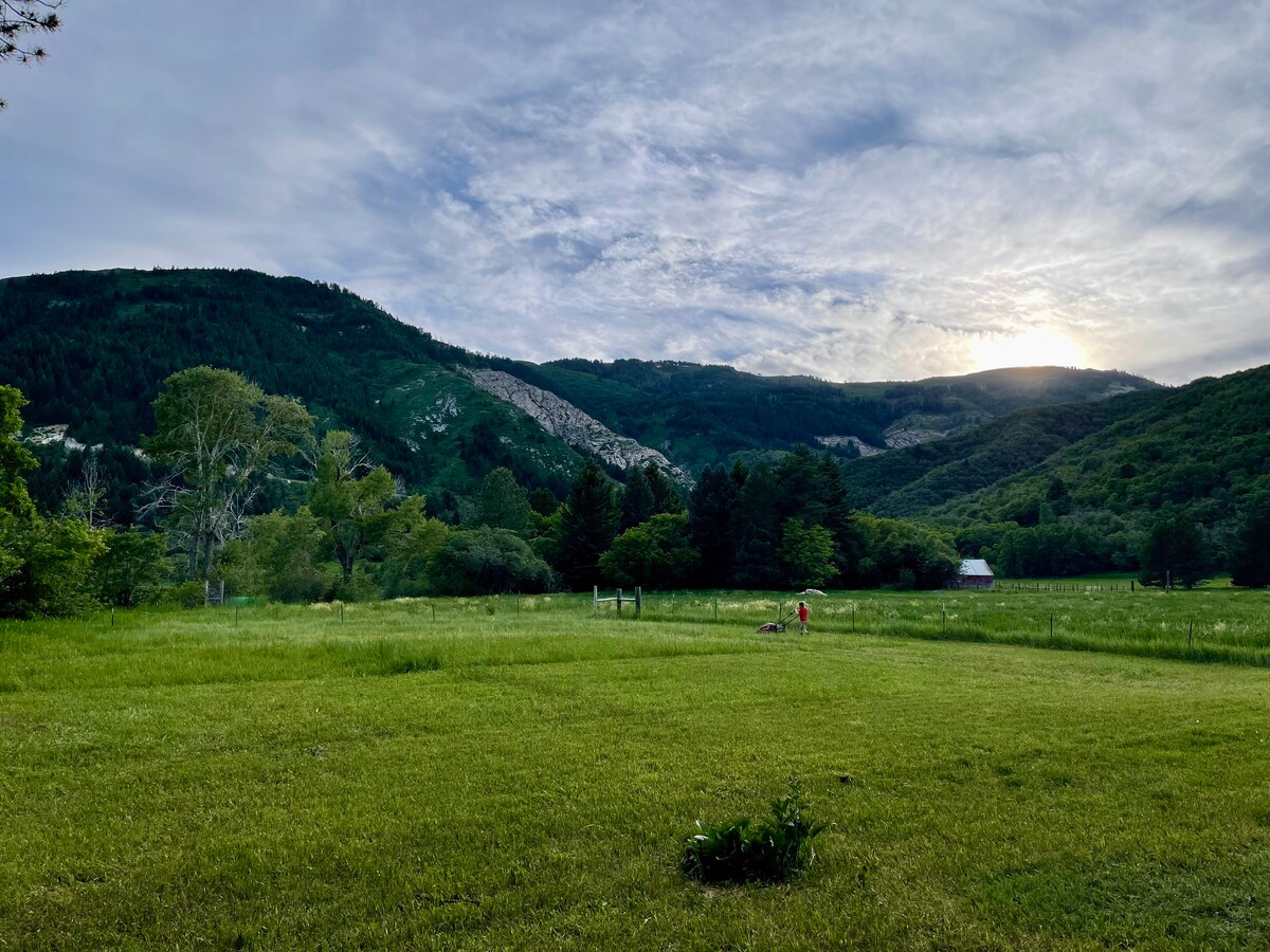 Expansive green field with distant mountain range backdrop