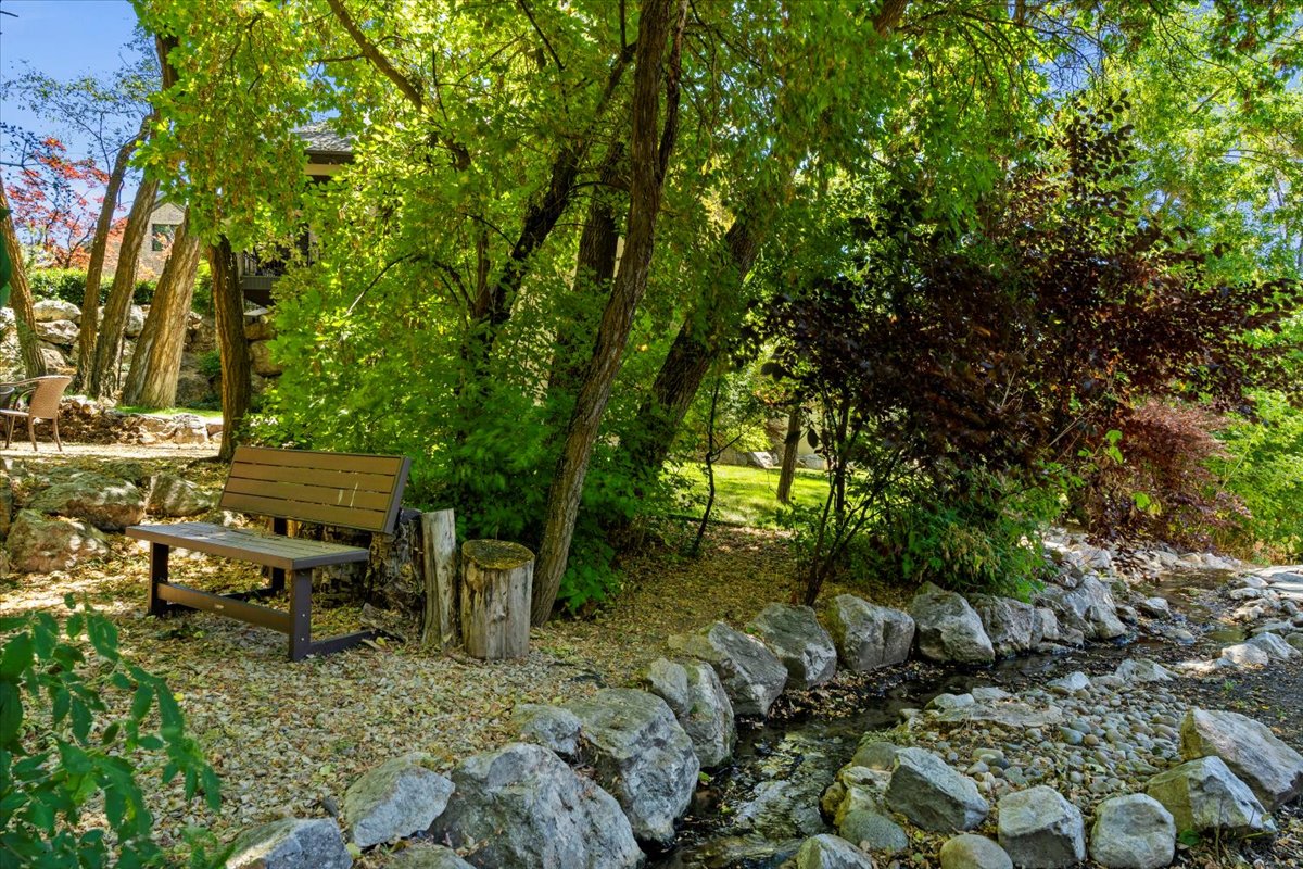 Naturalistic landscaping featuring a stream, mature trees, and rock borders