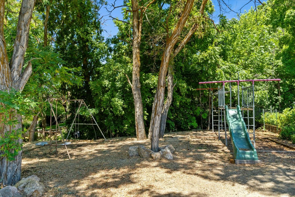 Natural outdoor area featuring mature trees providing ample shade