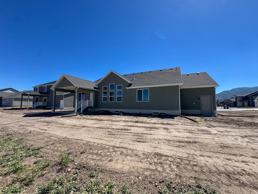 New construction residence featuring a muted green exterior with multiple window configurations
