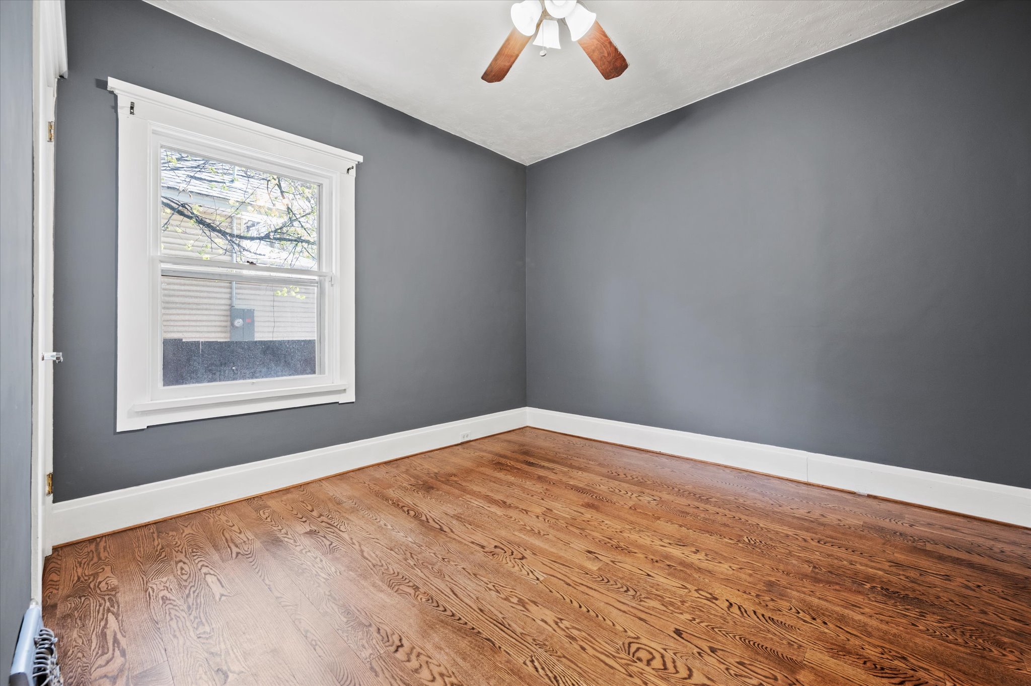 Room featuring wood-finish flooring, a white-trimmed window, a ceiling fan with light fixture, and dark gray wall finishes