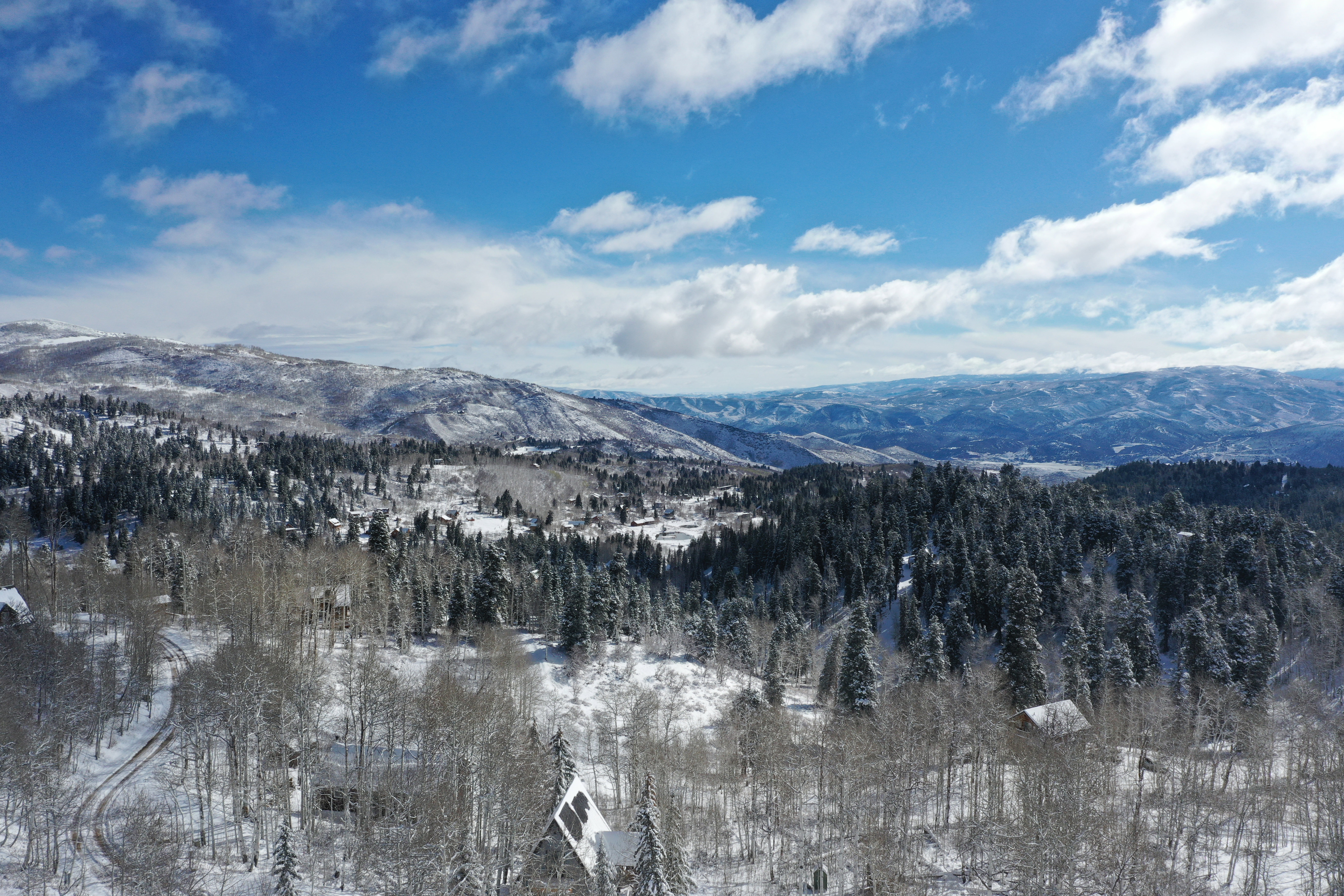 Expansive snow-covered mountain landscape with diverse tree coverage