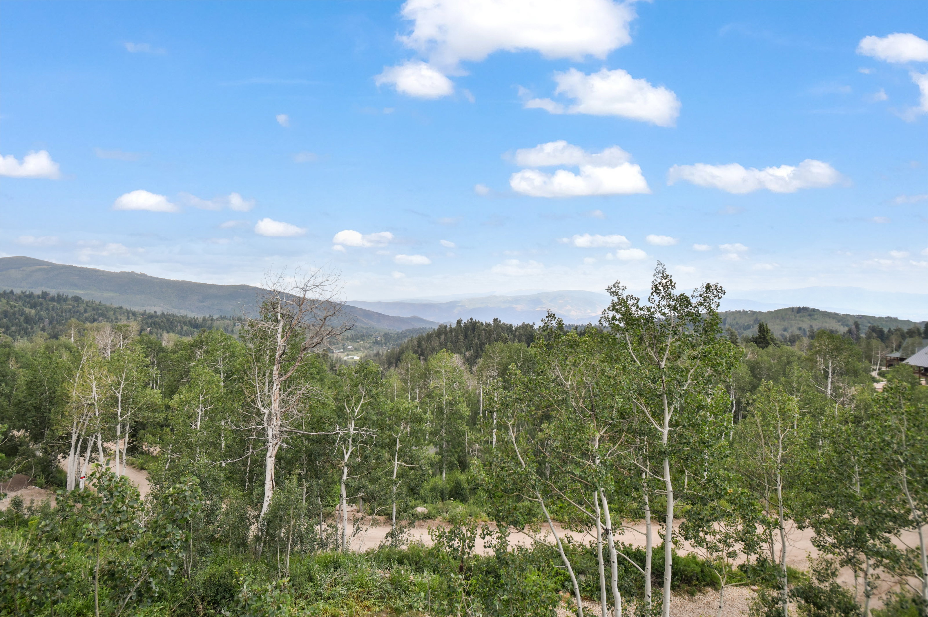 Expansive mountain landscape featuring a dense forest of deciduous trees