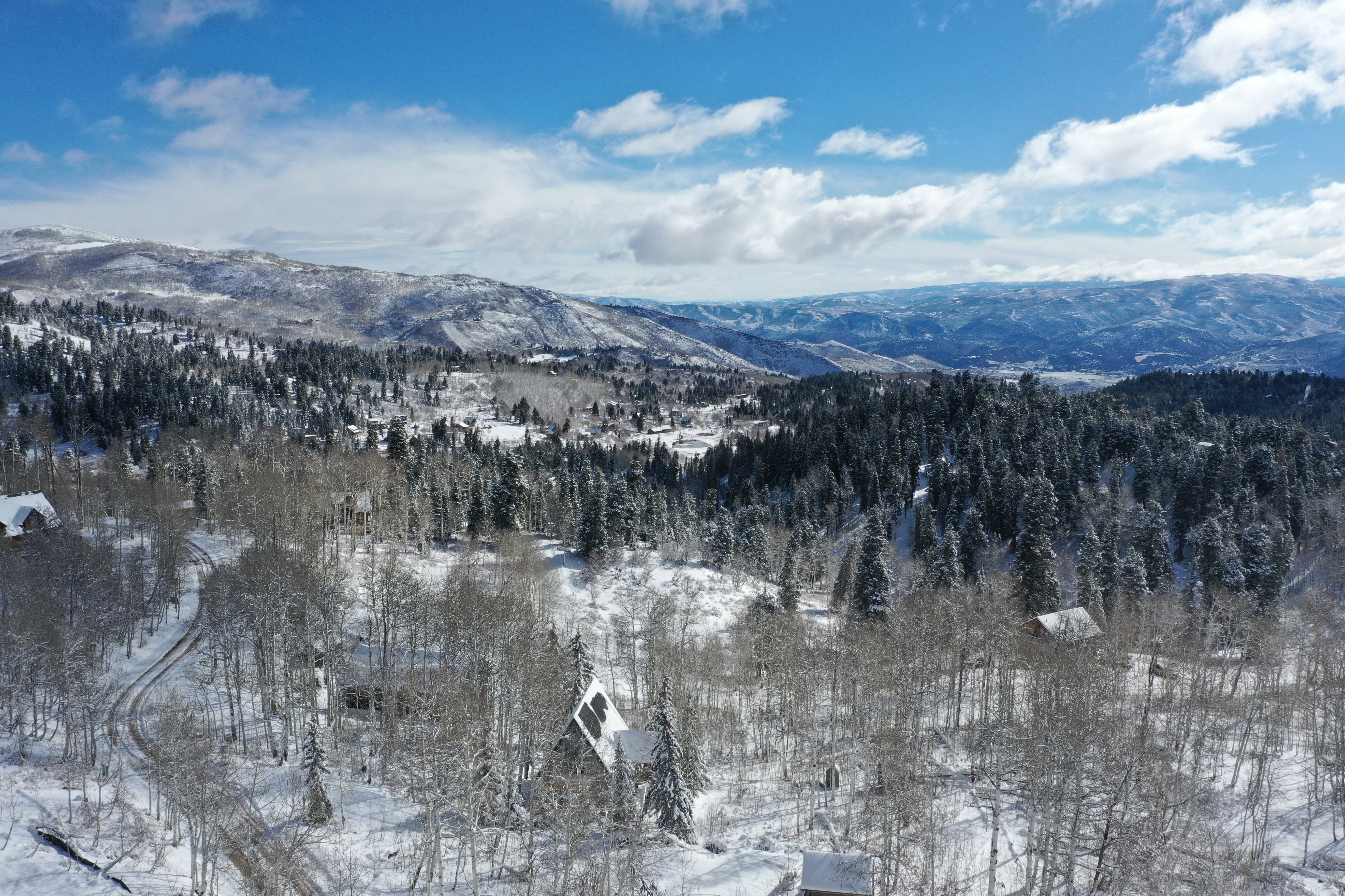 Snow-covered mountain landscape featuring dense evergreen and deciduous trees
