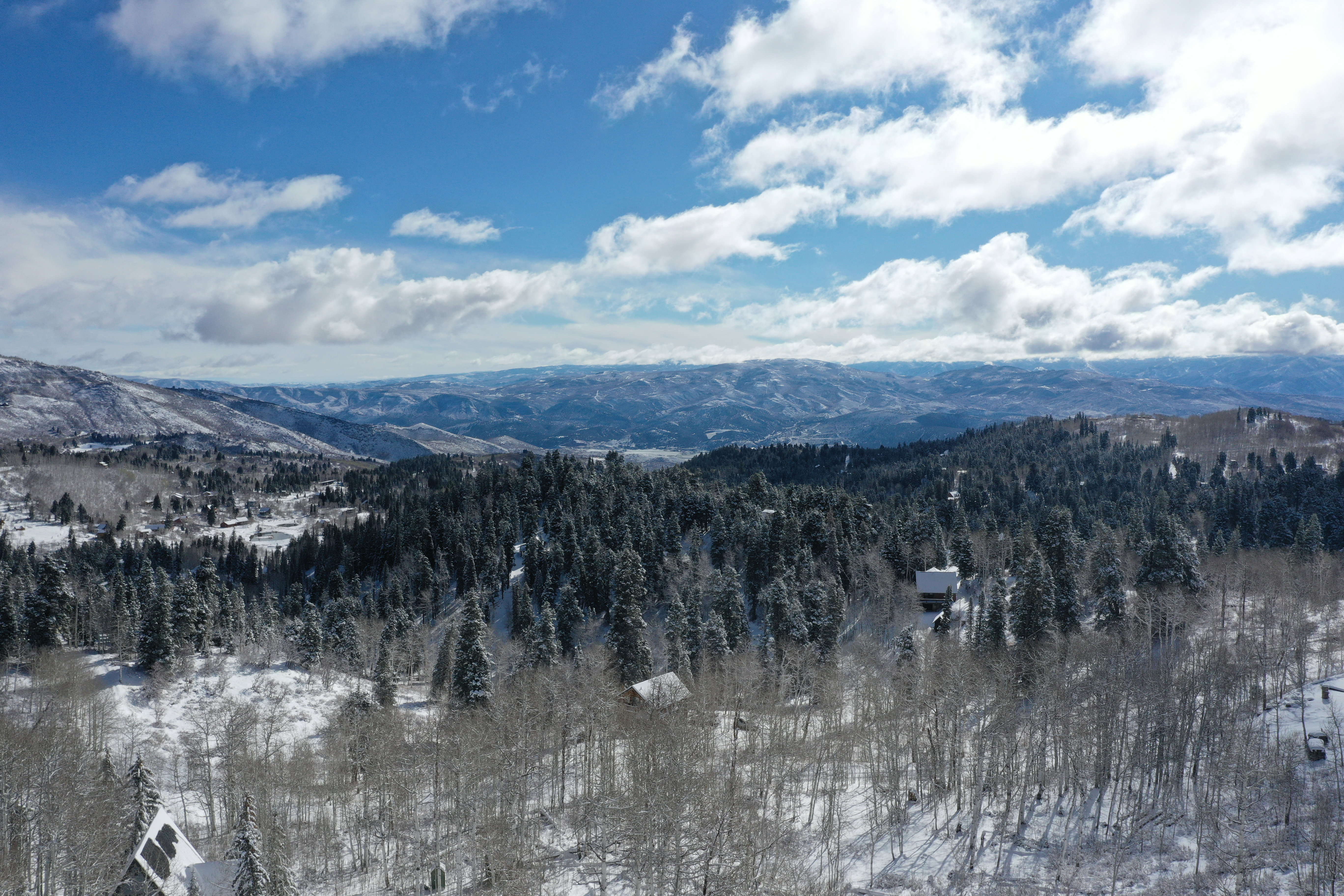 Expansive mountain landscape featuring snow-covered evergreen and deciduous trees