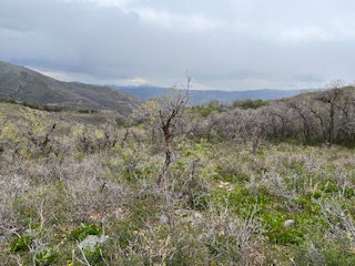 Expansive natural landscape featuring varied terrain and distant mountain ranges