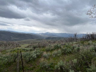 Expansive undeveloped land featuring rolling hills, varied green vegetation, and distant mountain ranges with snow-capped peaks