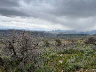 Expansive natural landscape featuring rolling hills, varied vegetation, and distant mountain ranges with snow-capped peaks