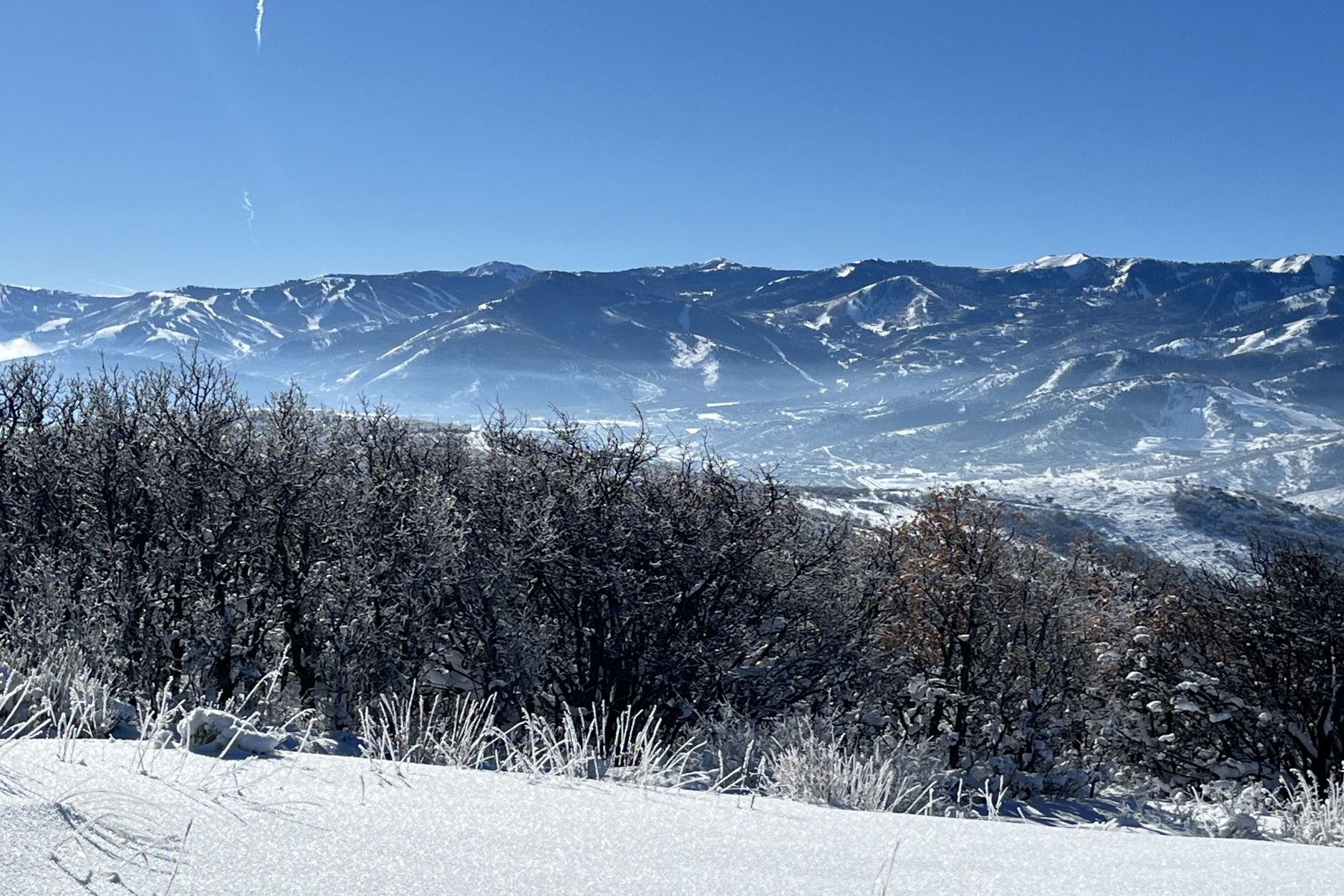Snow-covered mountain range featuring distant ski slopes, a valley with scattered structures, and a foreground of frosted trees and snow-dusted ground