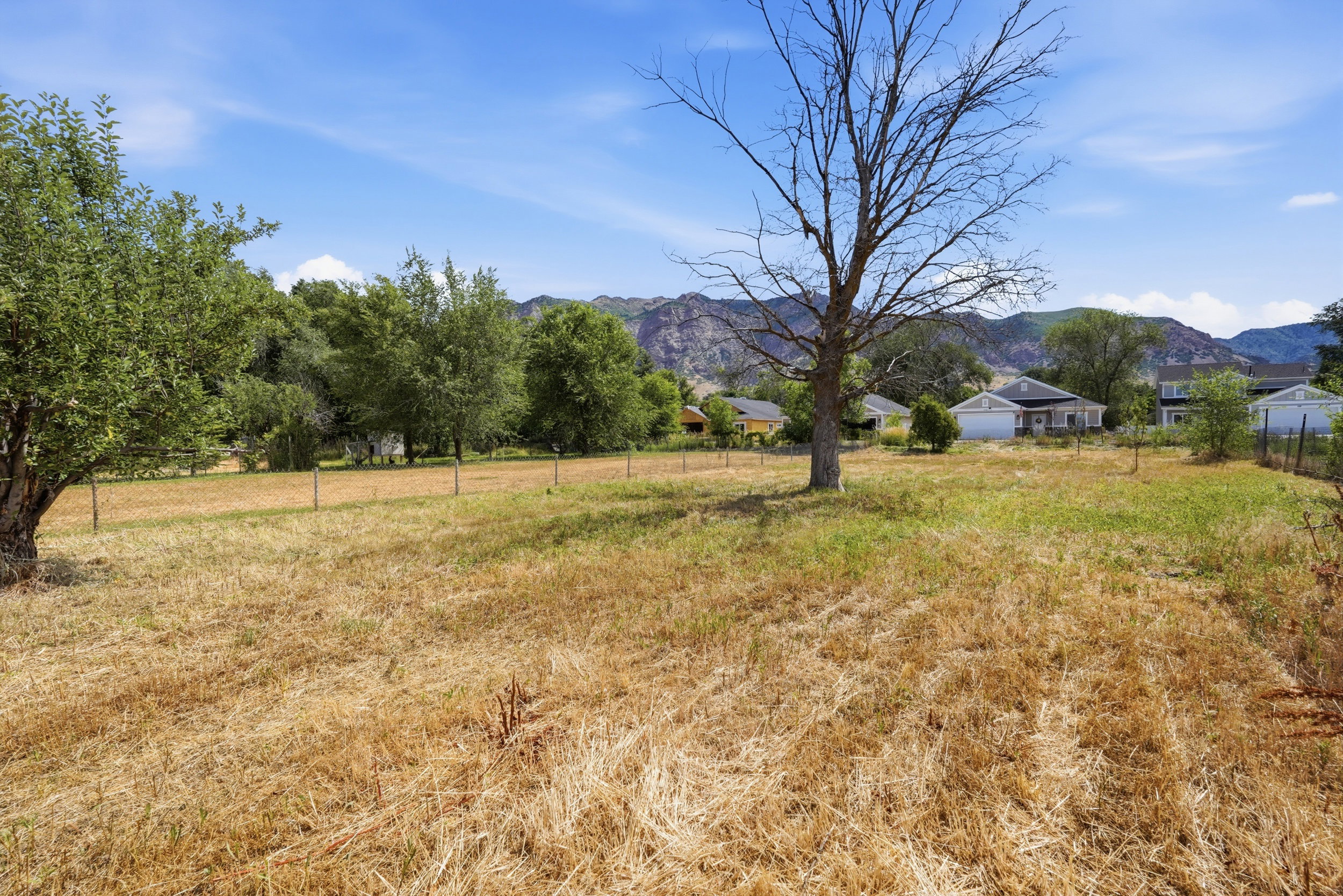 Expansive lot featuring a varied landscape with mature trees and a distant mountain backdrop
