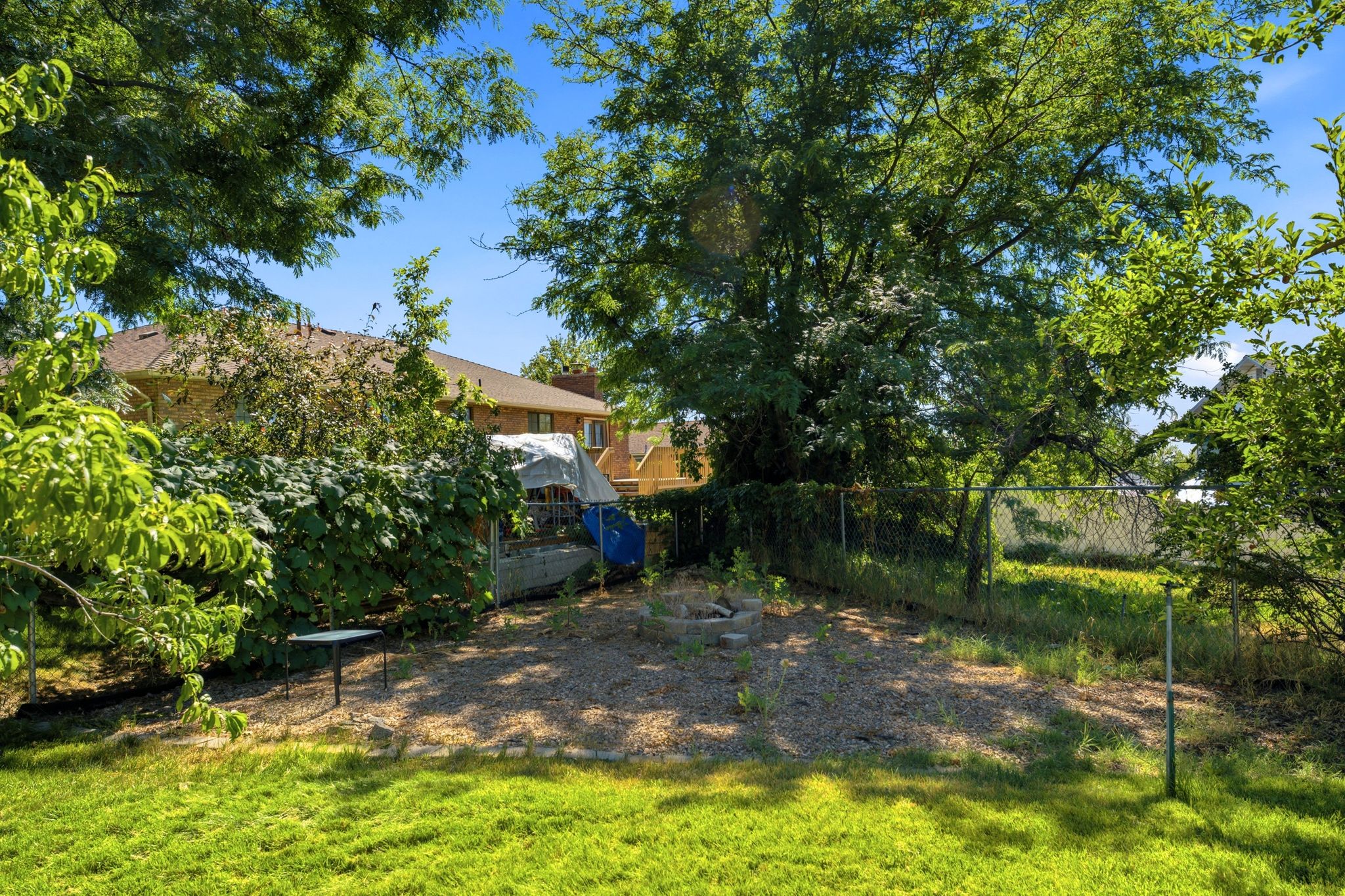 Expansive outdoor space featuring a partial chain-link fence, mature trees, and a ground-level patio area