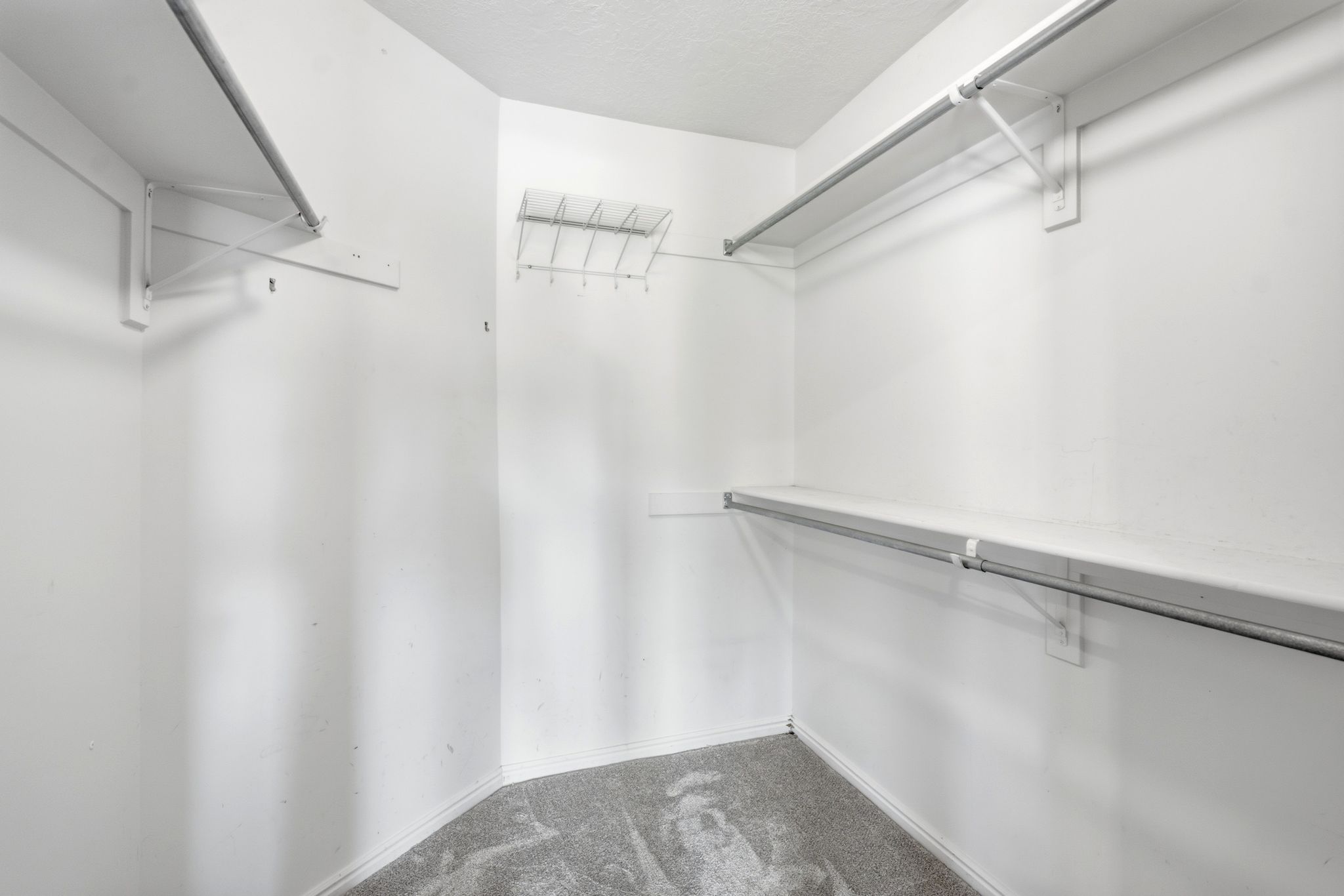 Walk-in closet featuring built-in shelving, chrome hanging rods, and neutral-toned carpeting