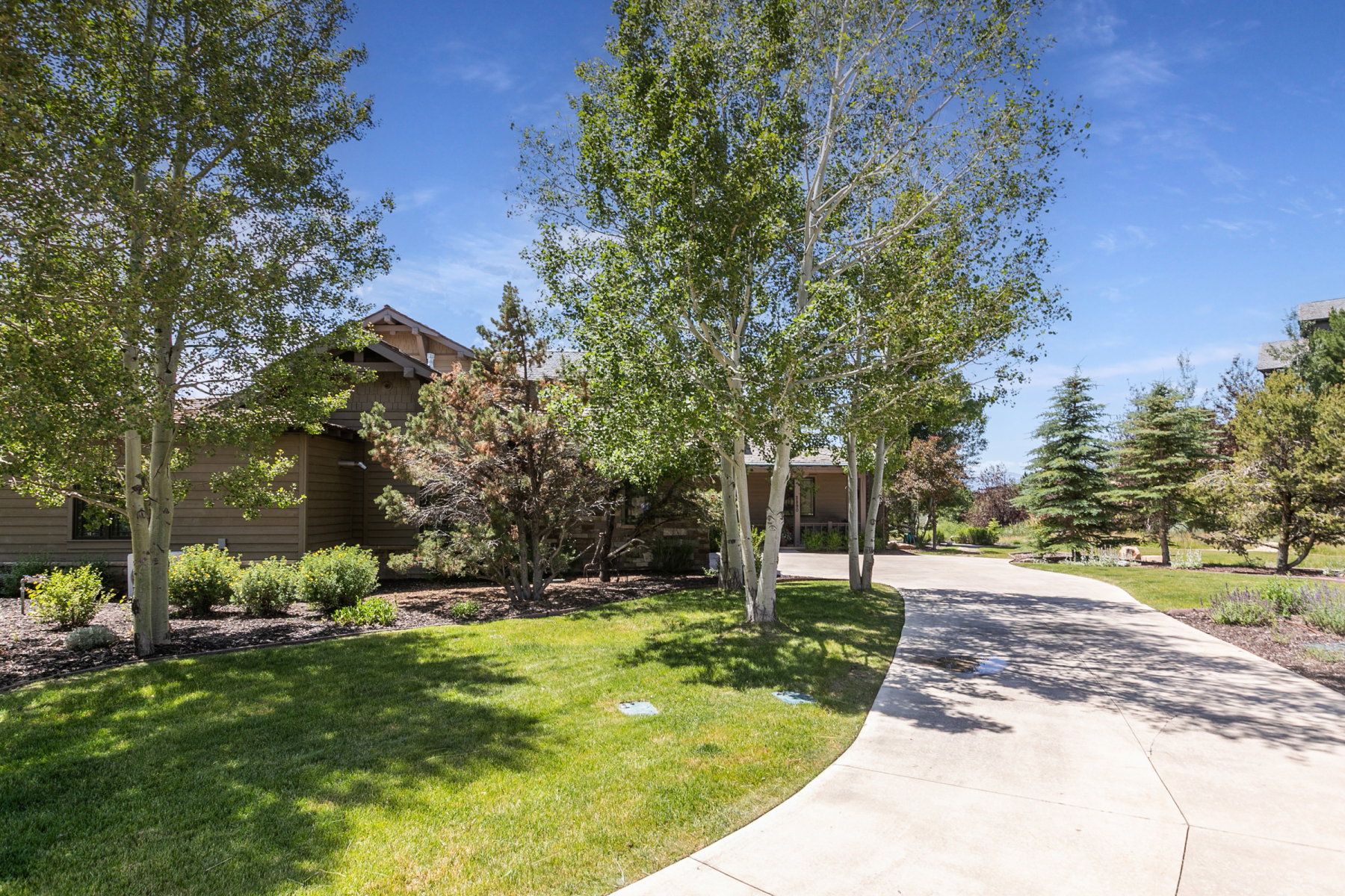 Curving concrete driveway framed by mature trees and manicured lawns