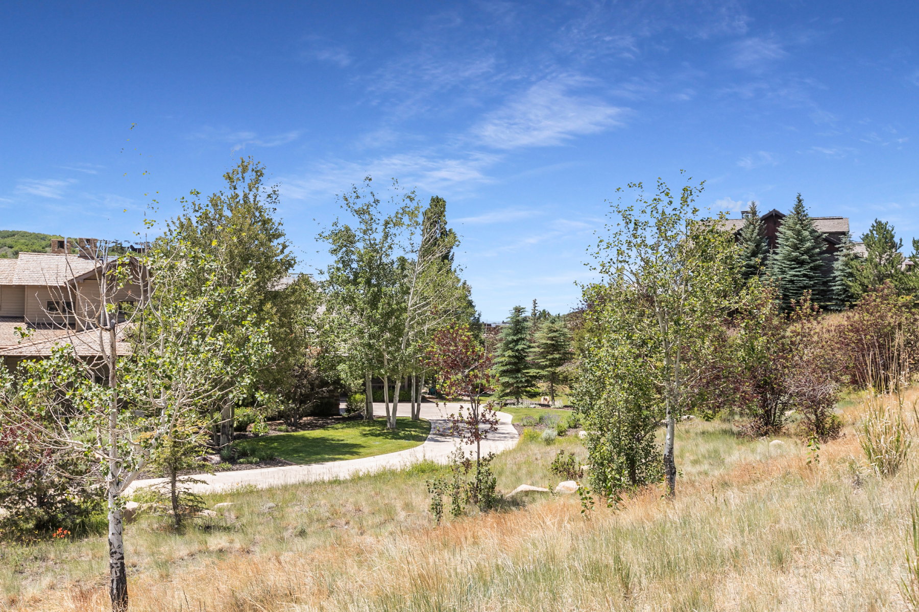 Sweeping natural landscape featuring a paved driveway, mature trees, and natural grasses