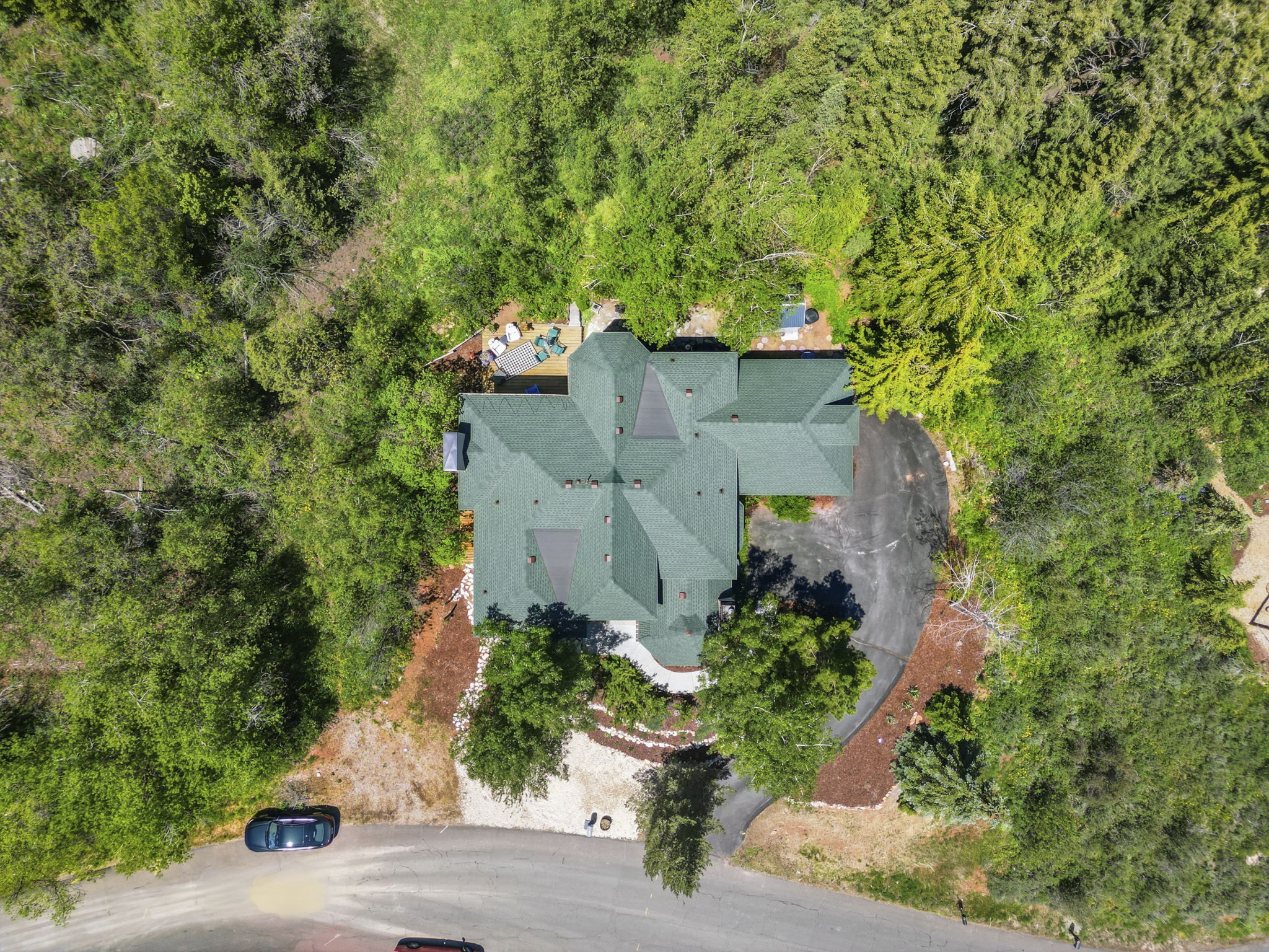 Property featuring a multi-gabled roofline, a paved driveway, and surrounding mature trees