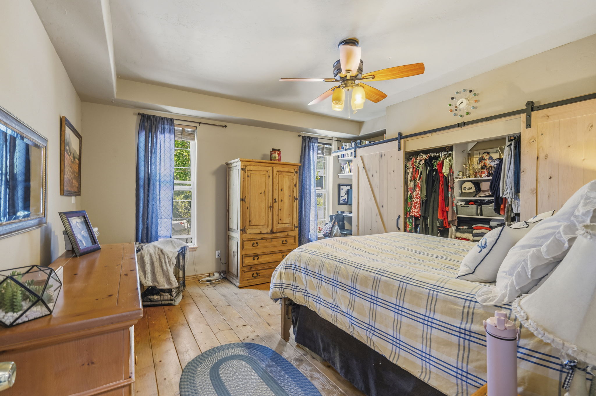 Room featuring wood-finish flooring, two windows with blue drapery, a ceiling fan with light fixture, and a built-in closet with sliding barn doors