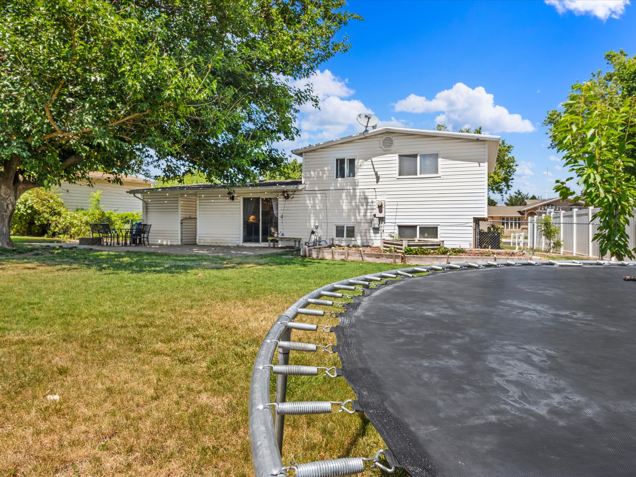 Expansive backyard featuring a large tree providing shade to a patio area, a concrete patio for outdoor enjoyment, and a sliding glass door for interior access
