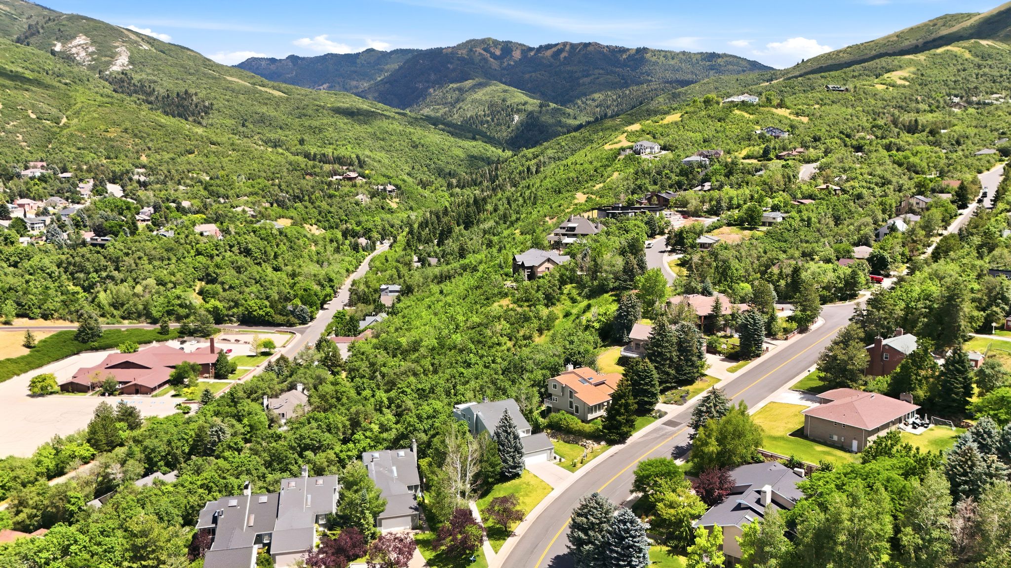 Hillside properties nestled among verdant trees and winding roads