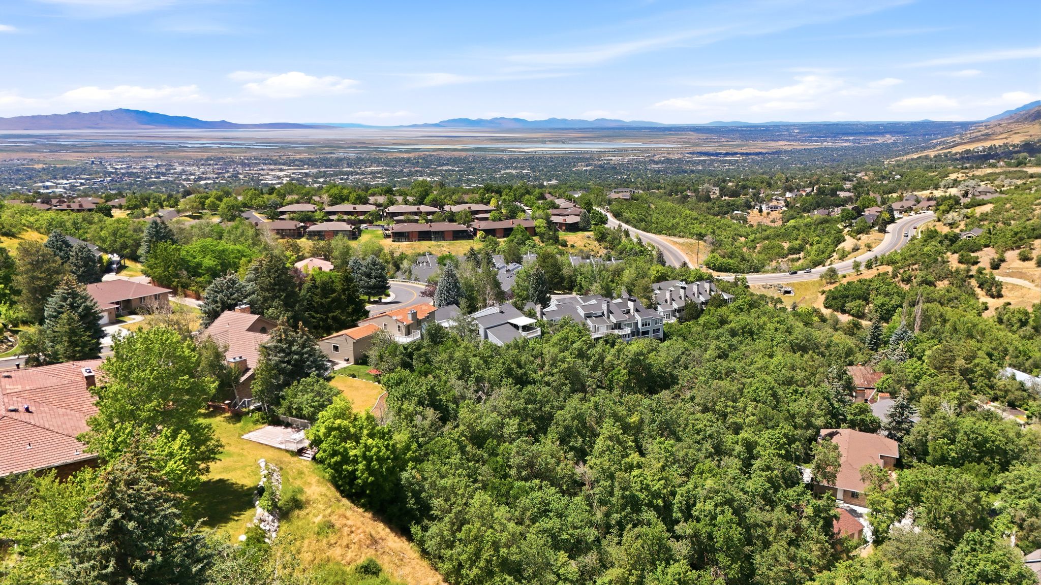Expansive aerial perspective showcasing a residential area with varied housing styles, surrounded by abundant mature trees and natural landscaping