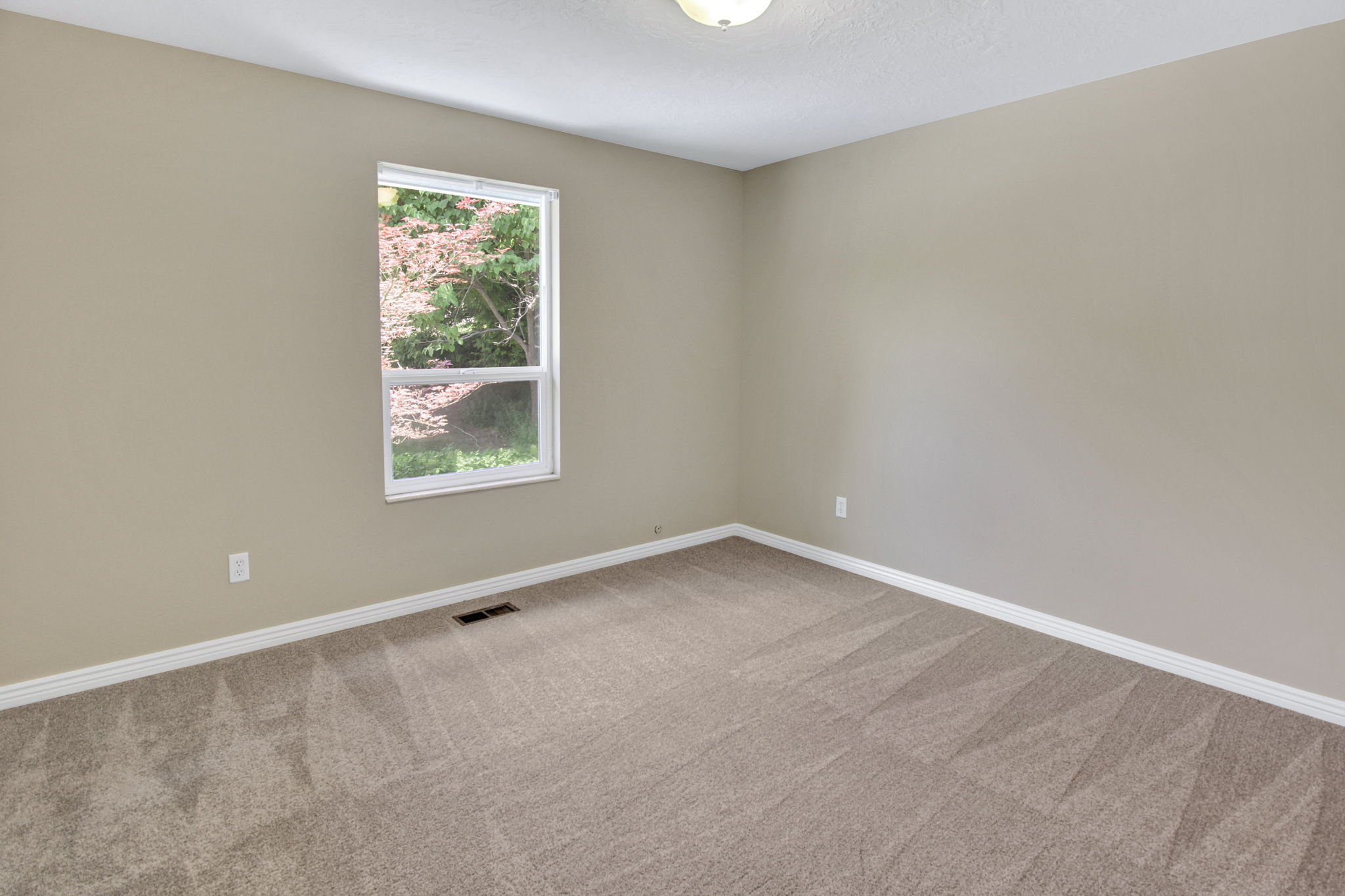 Large rooms New paint and carpet