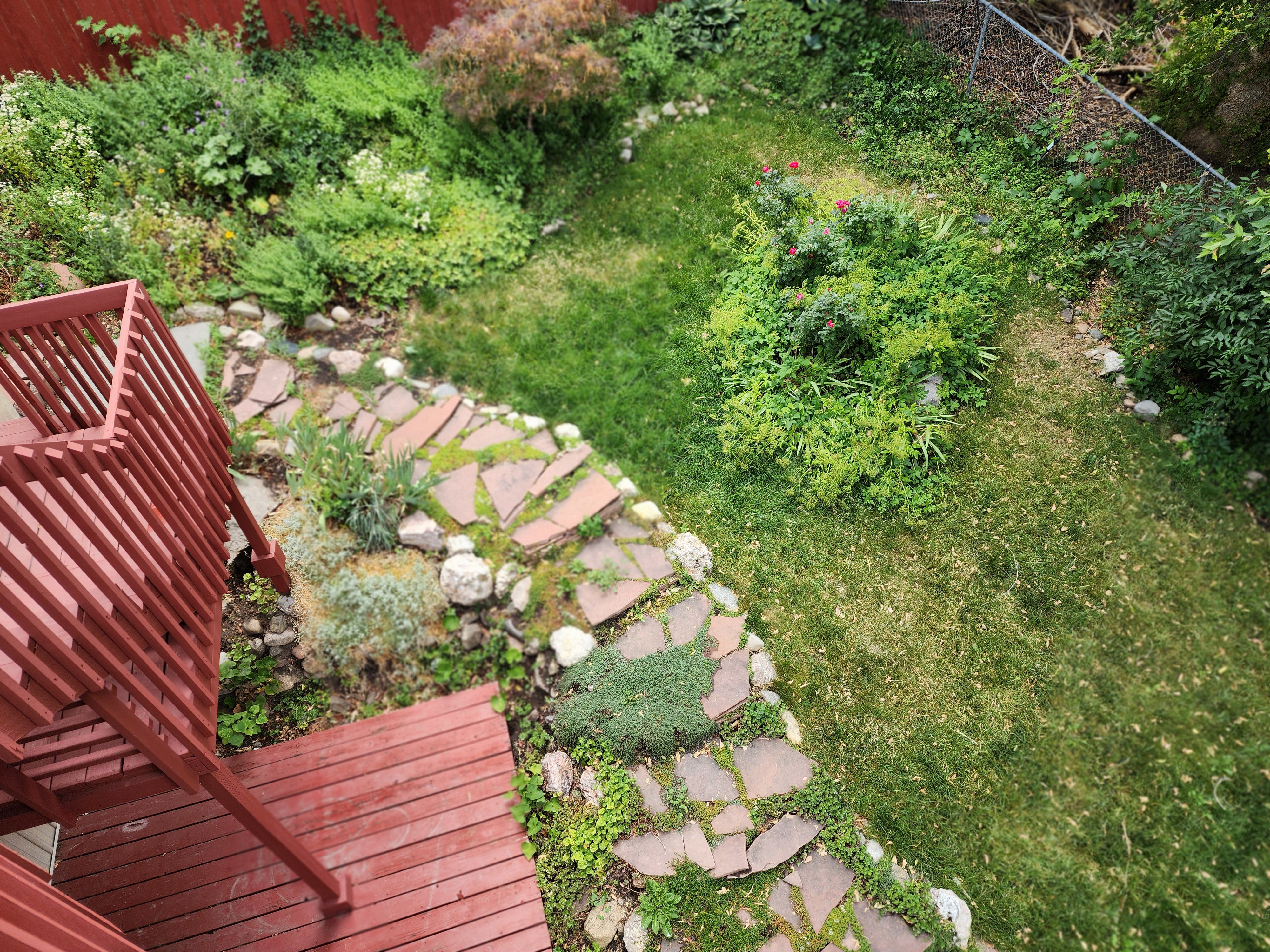 Expansive backyard featuring a red wood-stained deck with railing, a flagstone path, mature landscaping, and a manicured lawn area