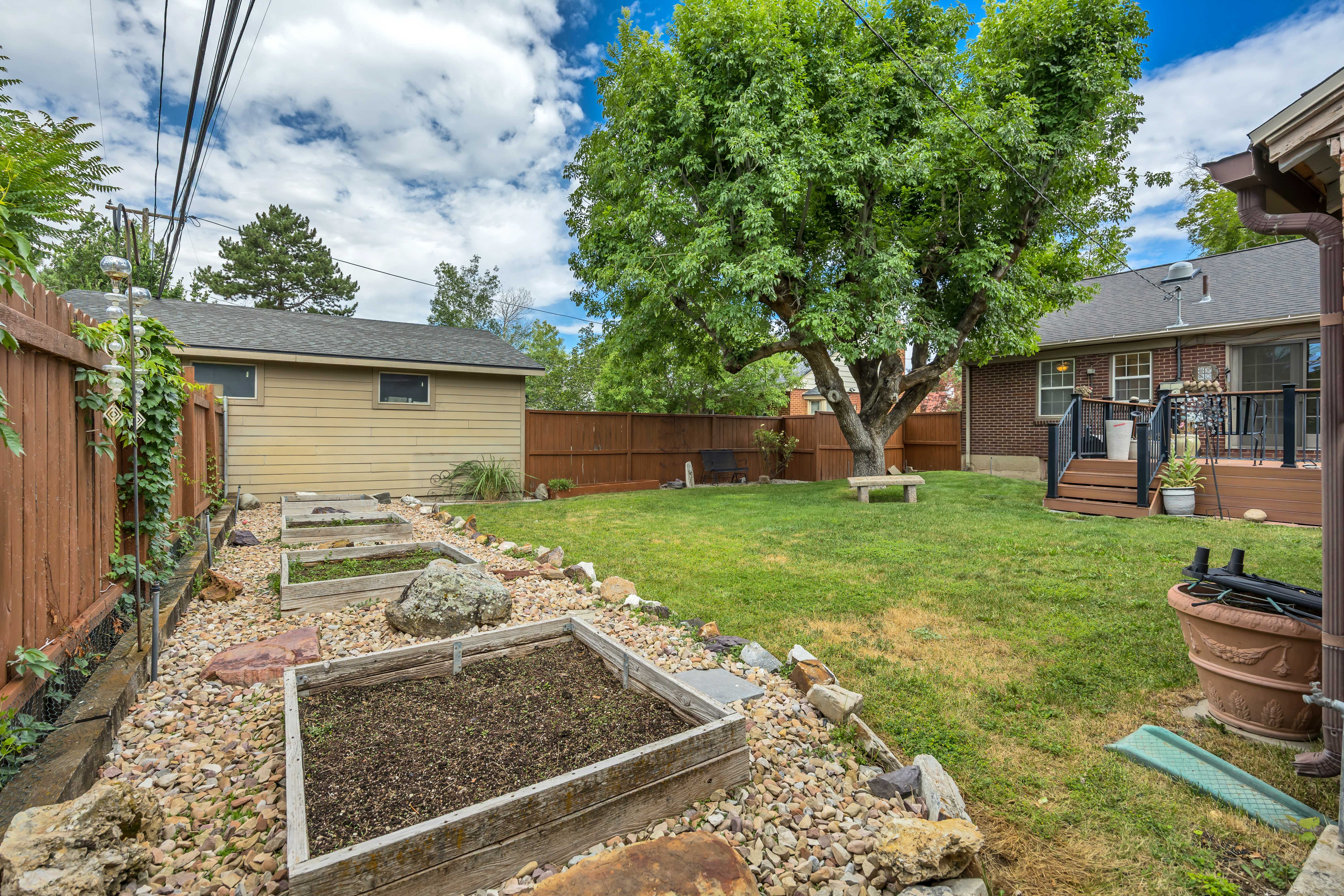 Expansive backyard featuring a large mature tree, established garden beds with rock landscaping, and a wooden privacy fence