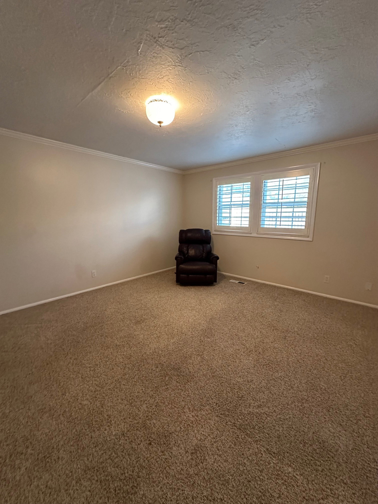 Primary room on level 1 is a spacious room featuring neutral carpeting, light-colored walls, white baseboards, and white crown molding