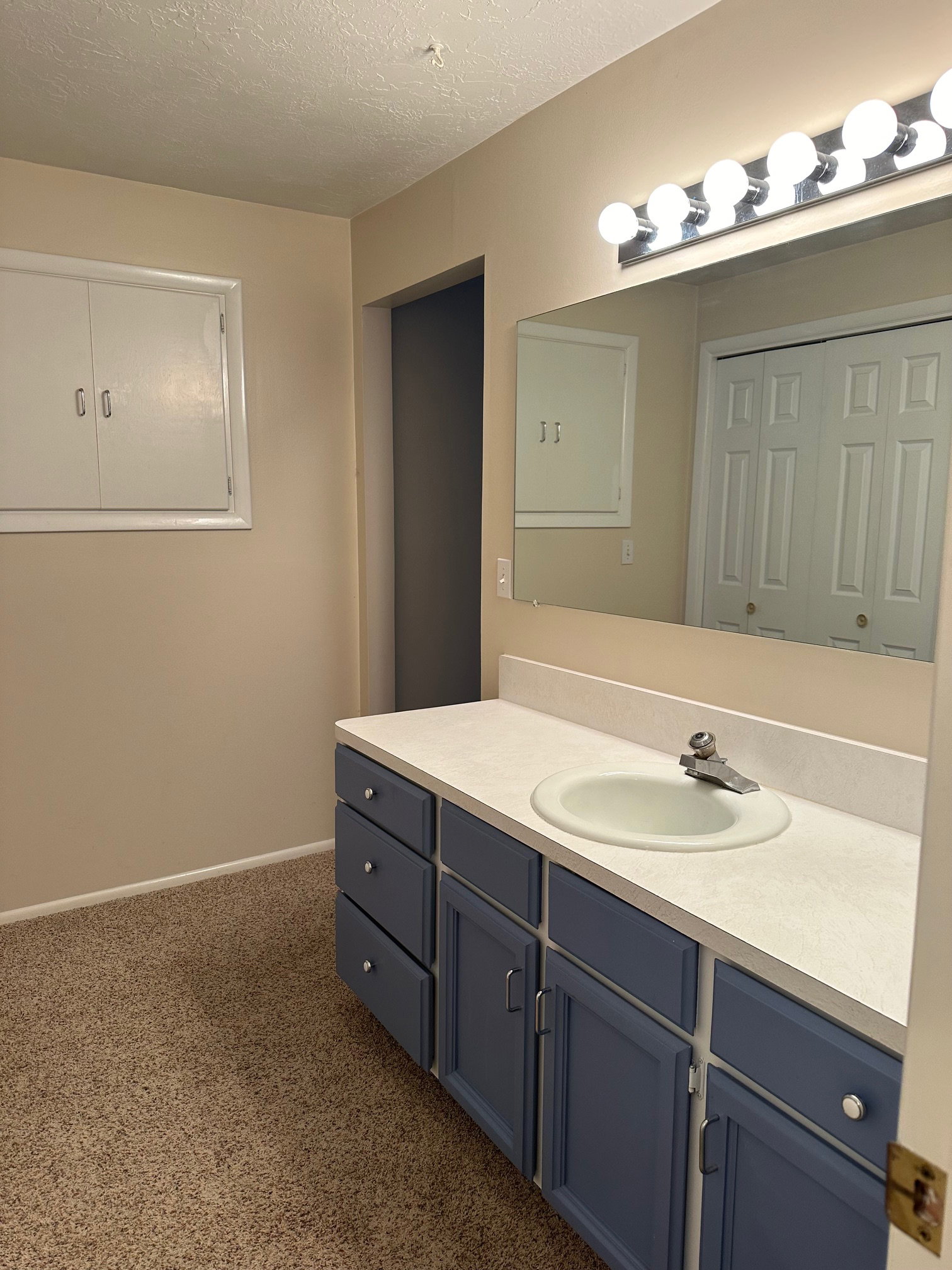 Primary Bathroom vanity featuring a single basin sink, 6 drawers and light-colored countertop. Double closets opposite.