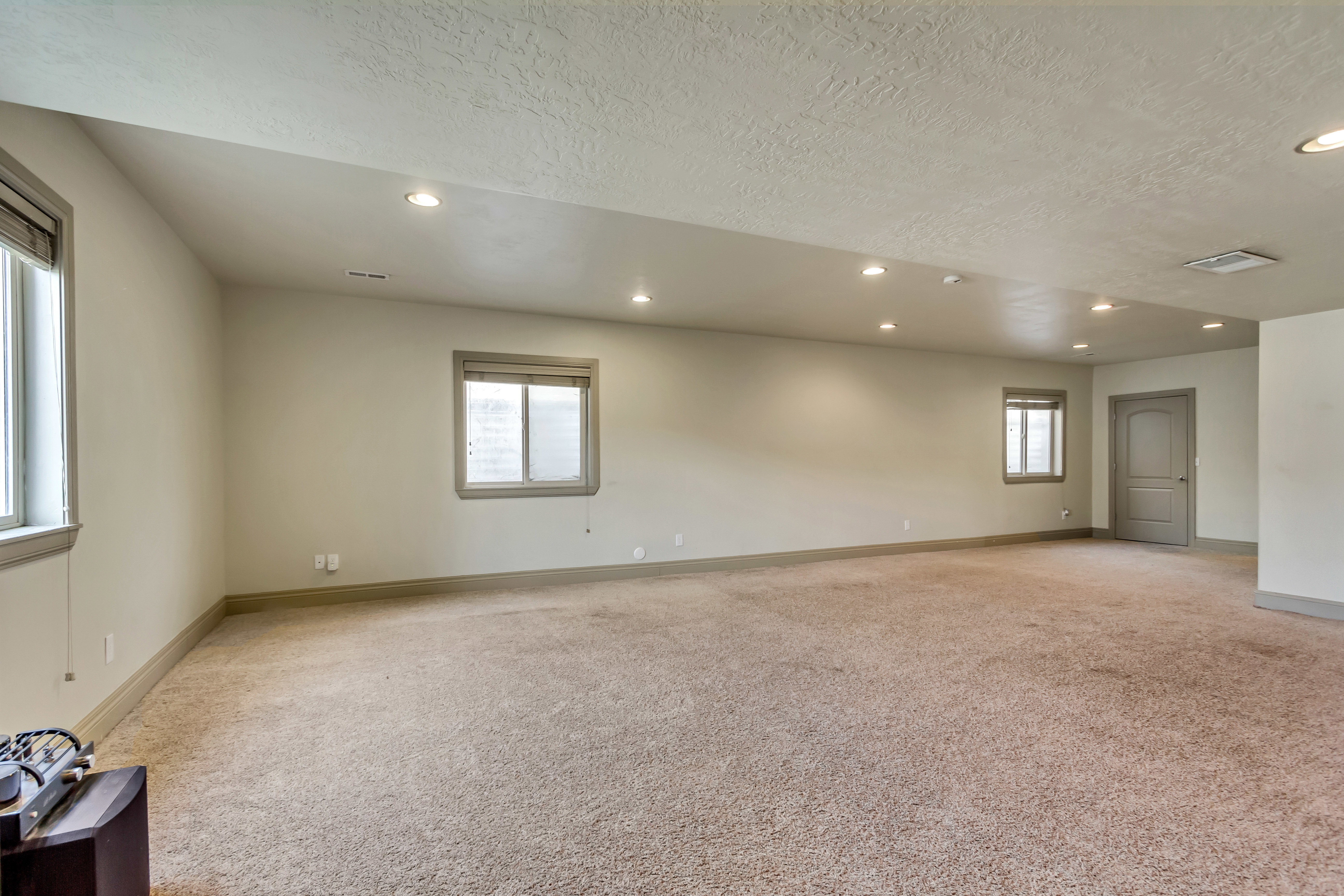 Spacious room featuring neutral carpeting, recessed lighting, multiple windows, and a panel door