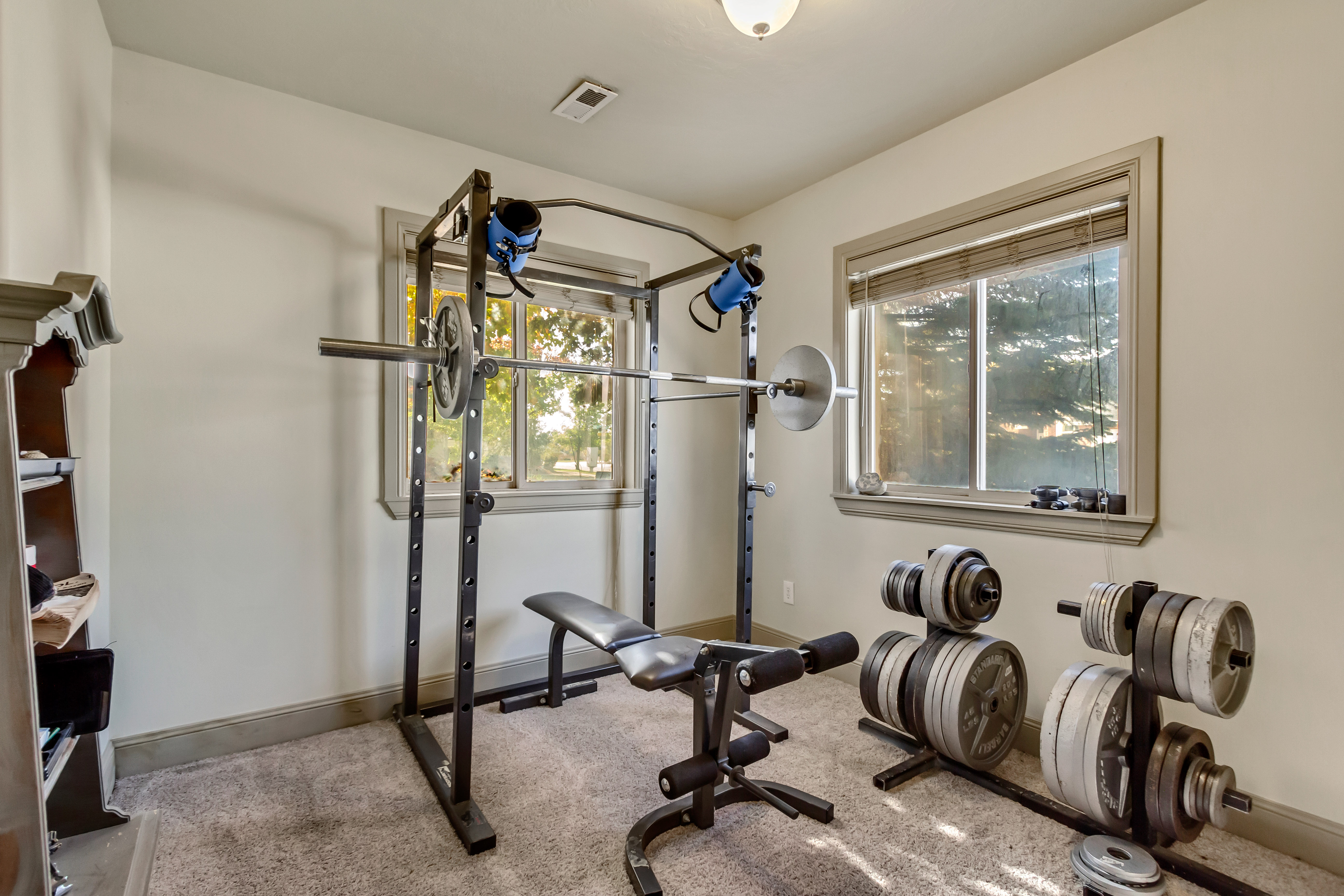 Dedicated room featuring light-colored carpet flooring and neutral wall tones