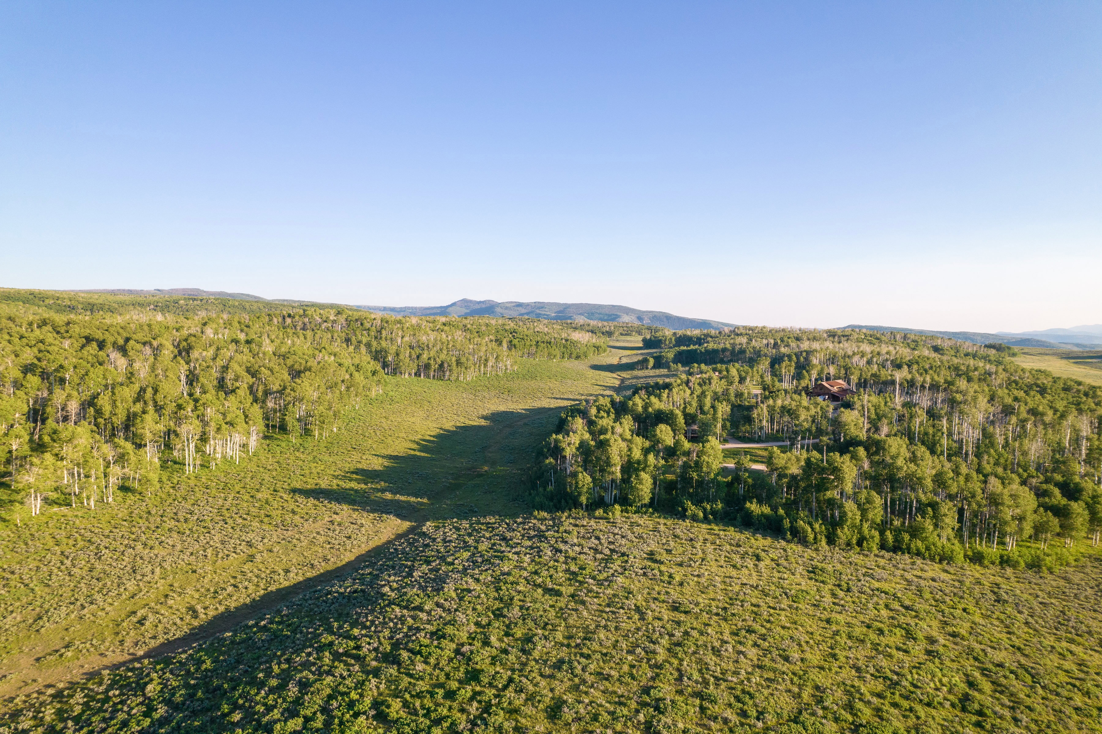 Expansive natural landscape featuring rolling hills and abundant deciduous trees