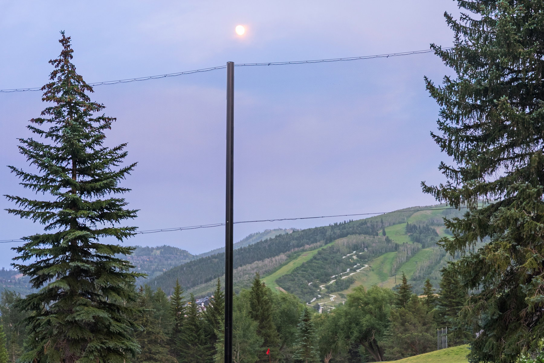 Mountainous terrain with evergreen trees and a clear sky
