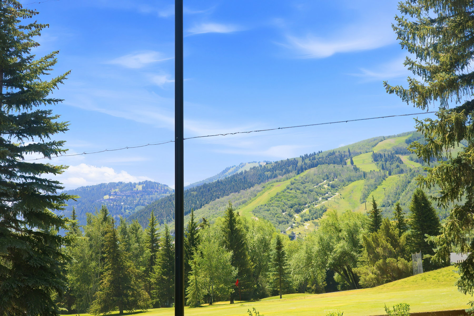 Expansive green landscape with mature evergreen trees and distant mountain slopes under a clear blue sky