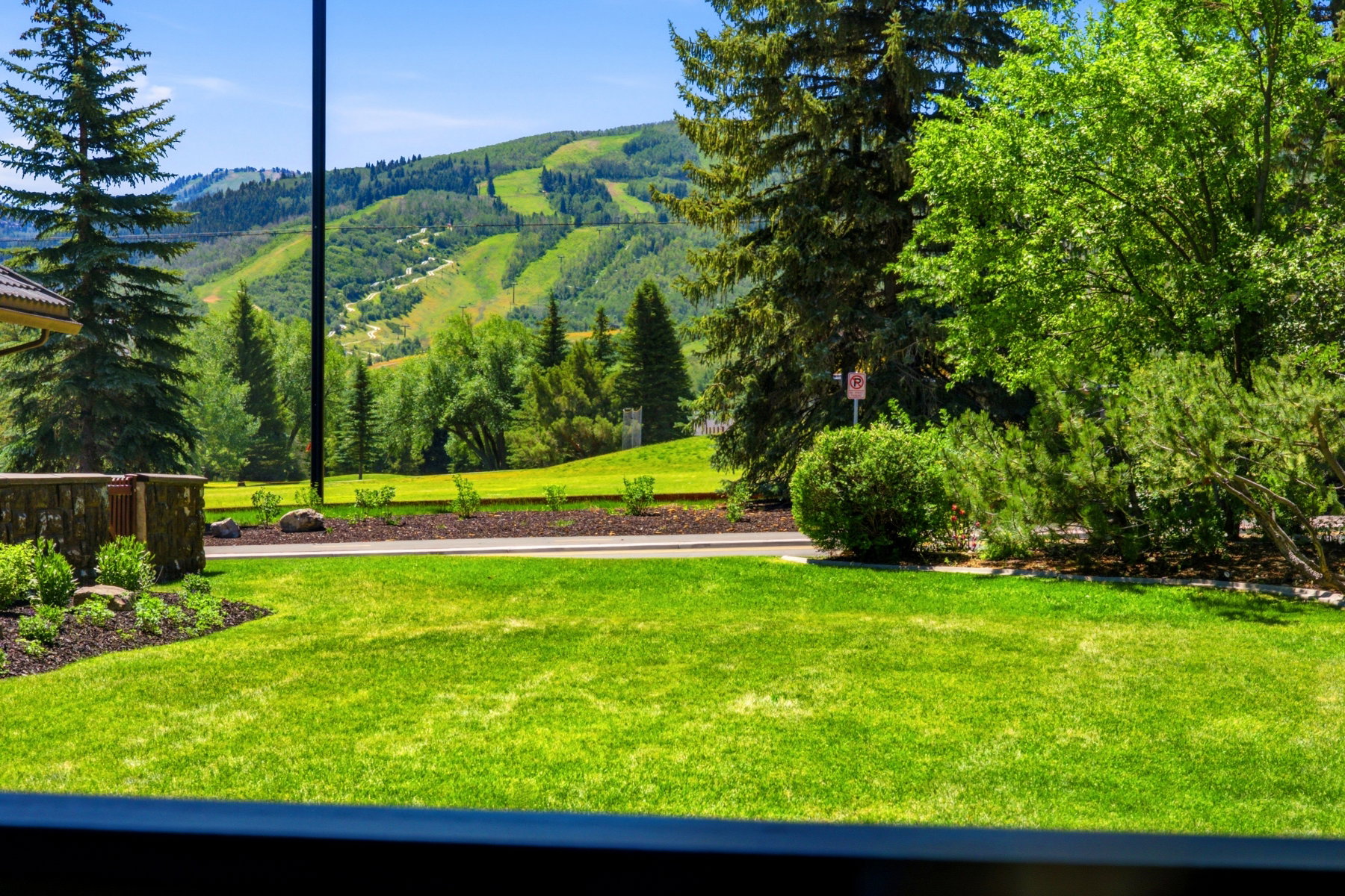 Expansive green lawn with mountain backdrop featuring evergreen trees and deciduous foliage