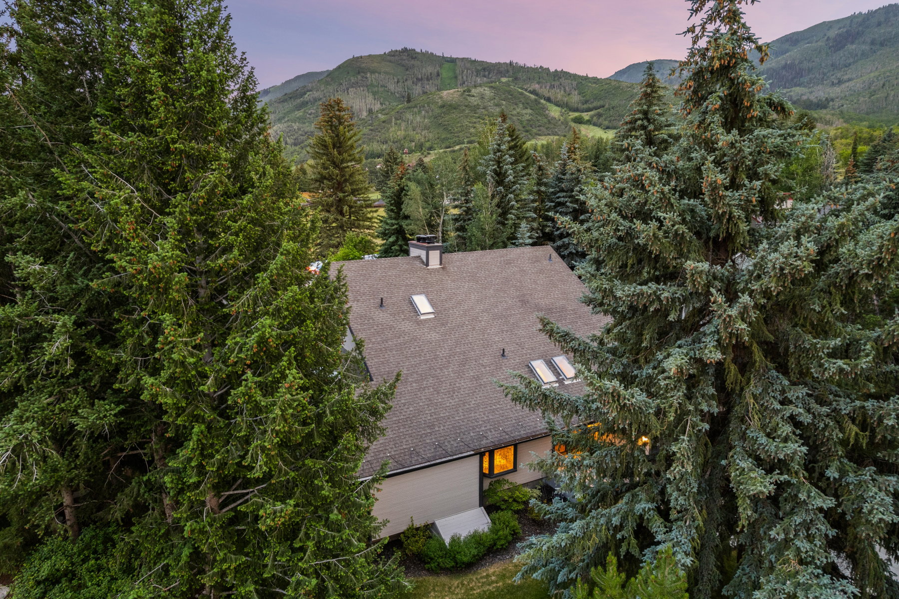 Contemporary home with a dark shingle roof, surrounded by mature evergreen trees