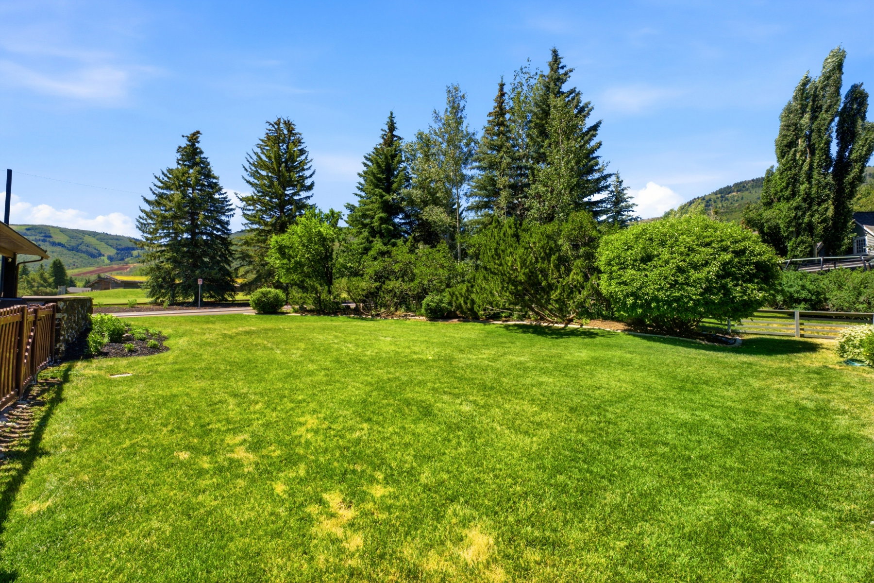 Expansive green lawn with mature evergreen trees and a variety of deciduous shrubs